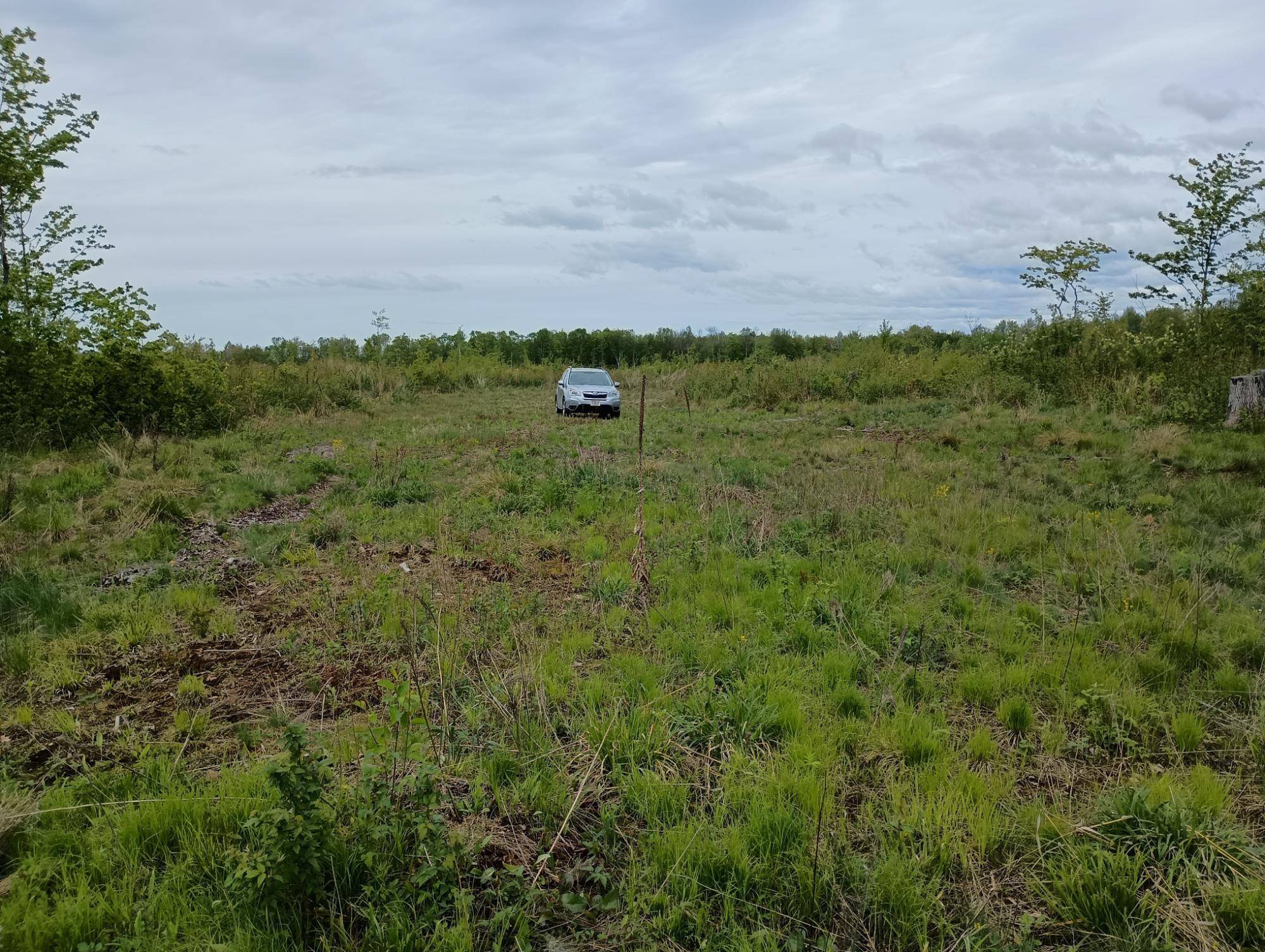 Butternut, WI 54514,Ac Off NEW SHANAGOLDEN RD #39.98+/-