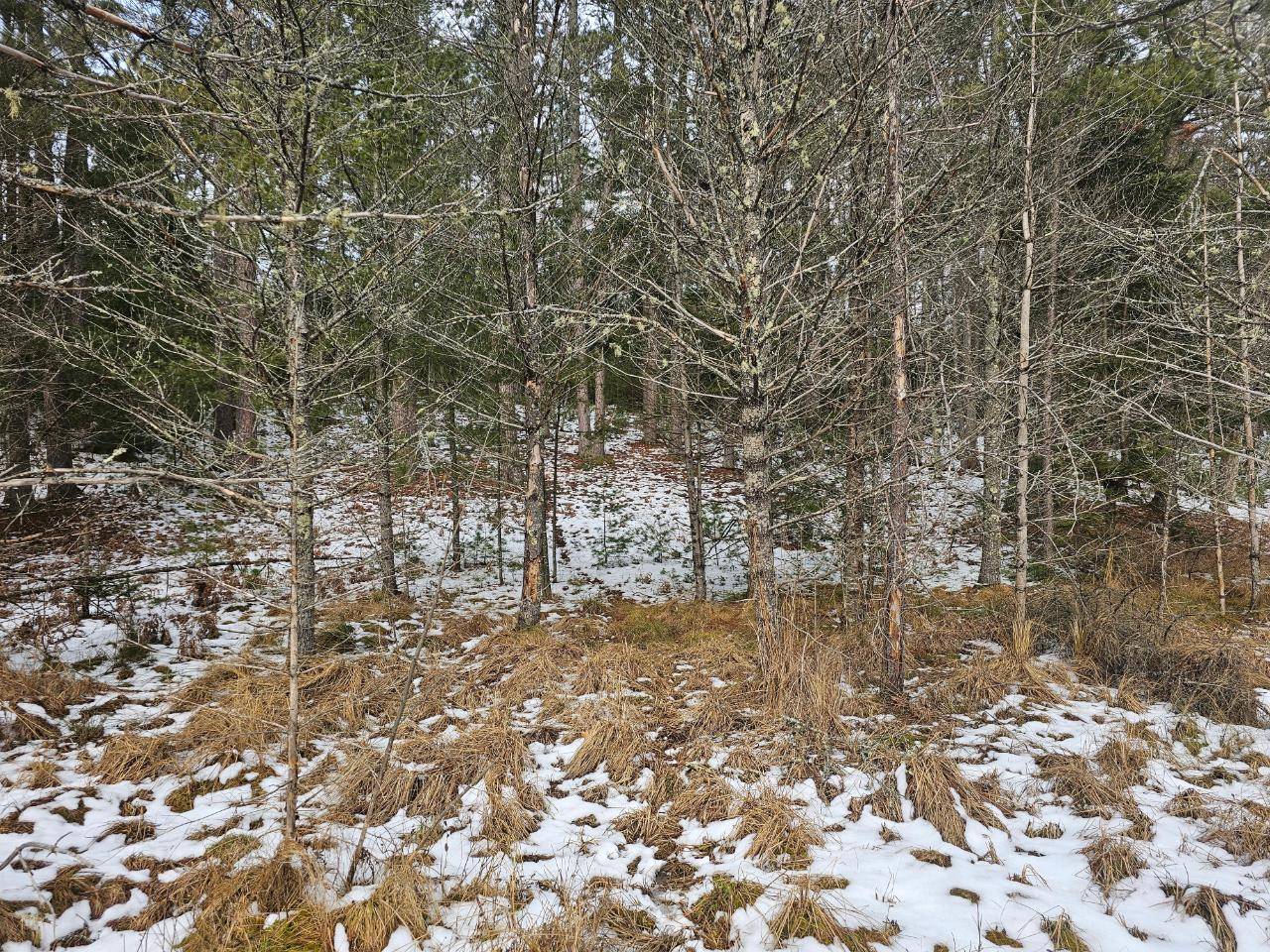 St Germain, WI 54558,ON HWY 155