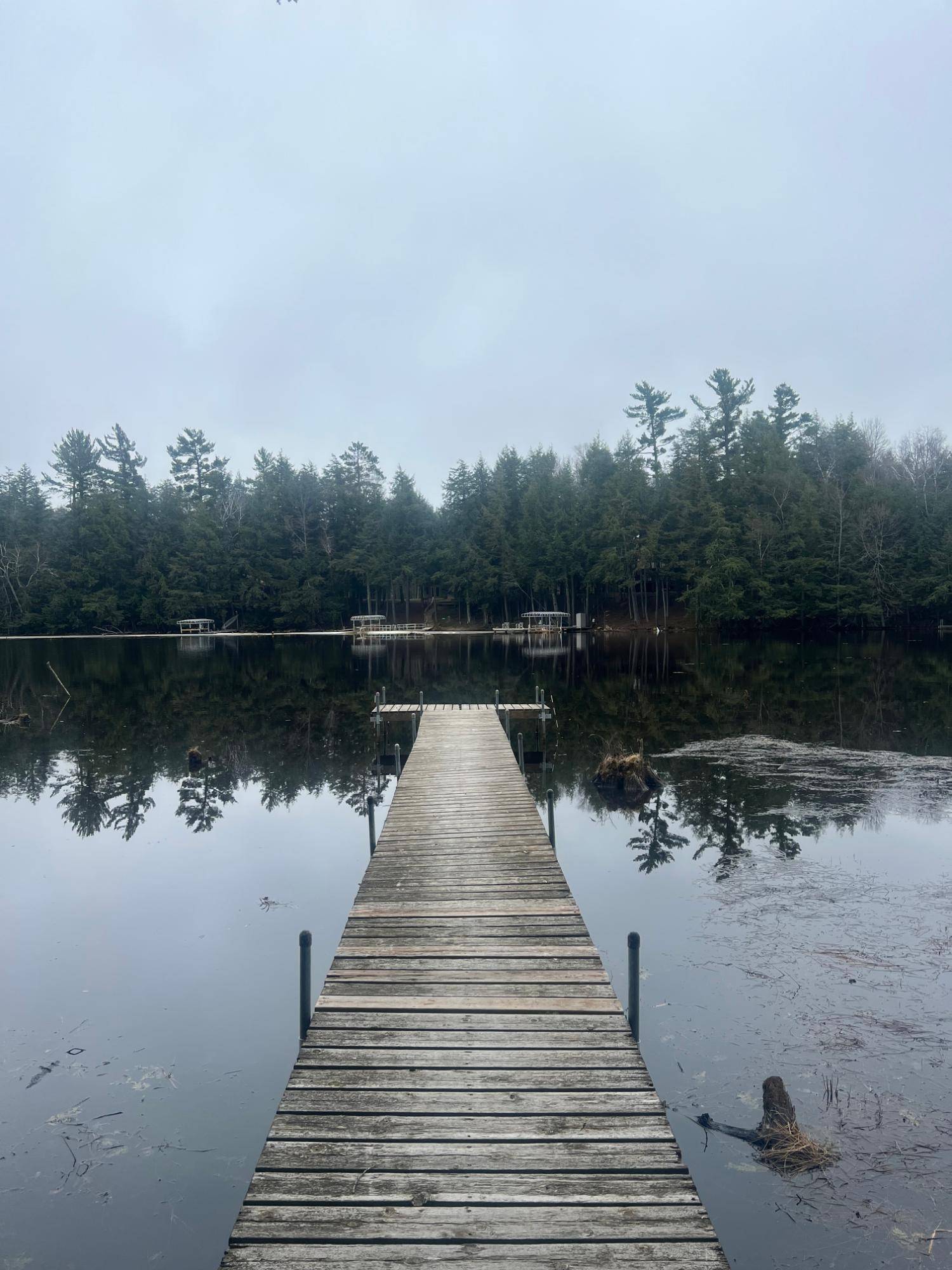 Three Lakes, WI 54562,6928 CONNORS RD