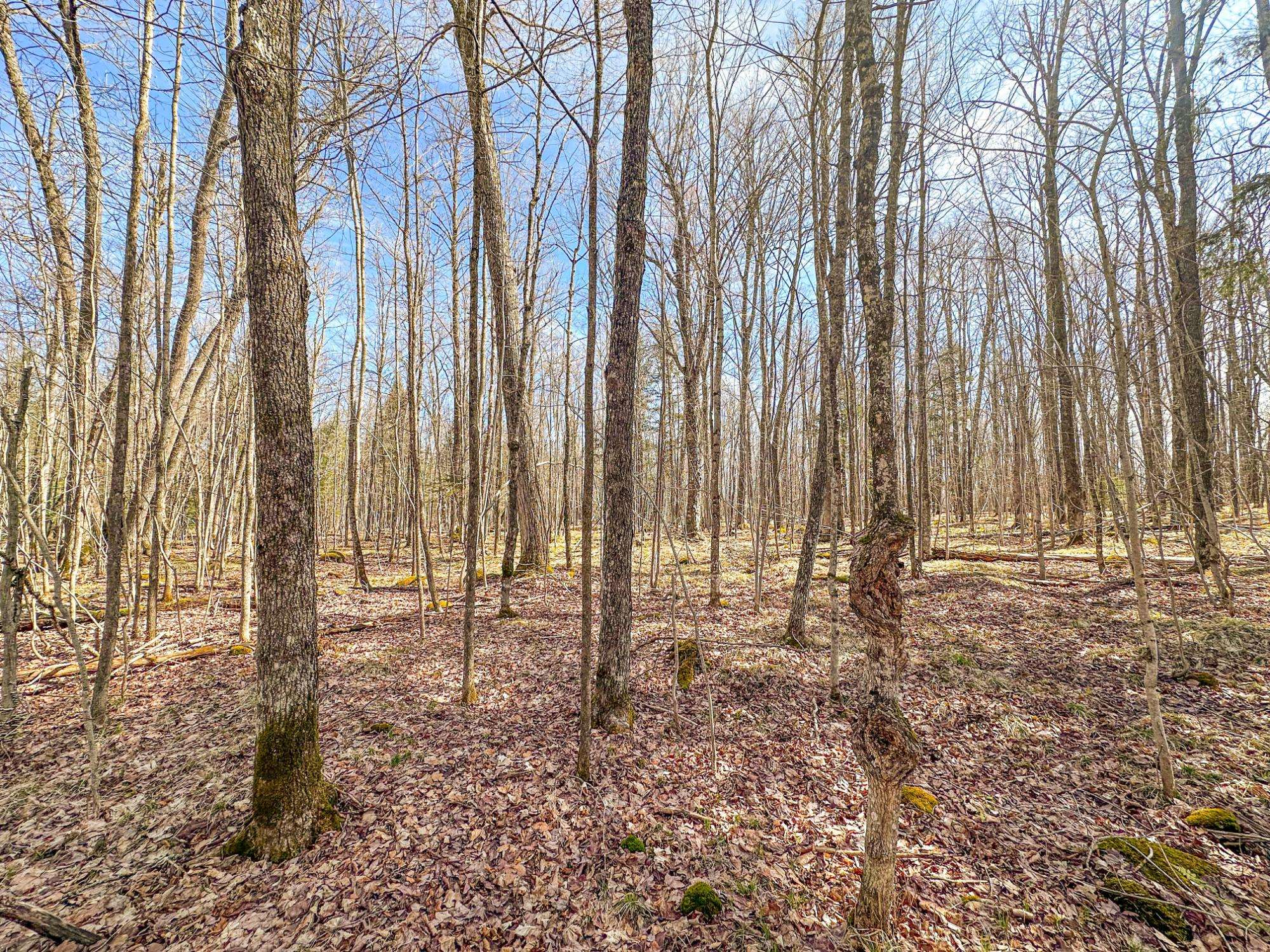 Park Falls, WI 54552,10 acres BASS LAKE RD
