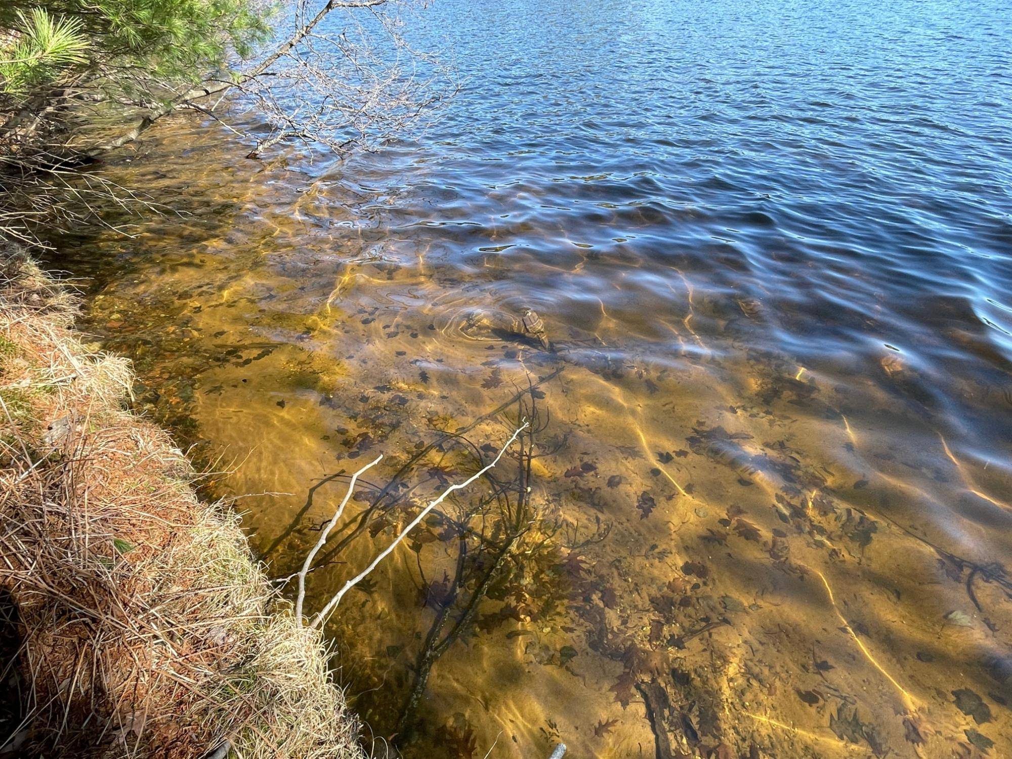 Conover, WI 54519,ON BIRCH POINT RD