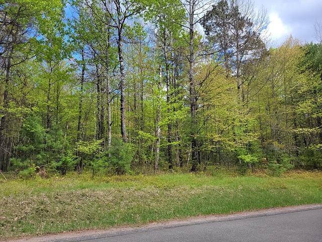 Arbor Vitae, WI 54568,0000 ARNETT RD #Lots 2 & 4
