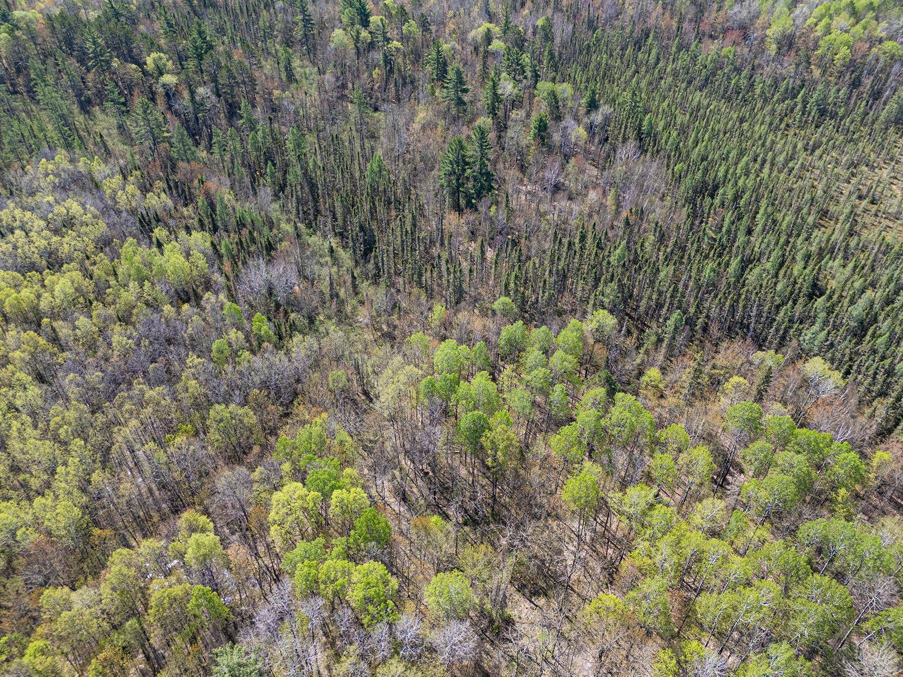 Watersmeet, MI 49969,Off RIFLE RANGE RD
