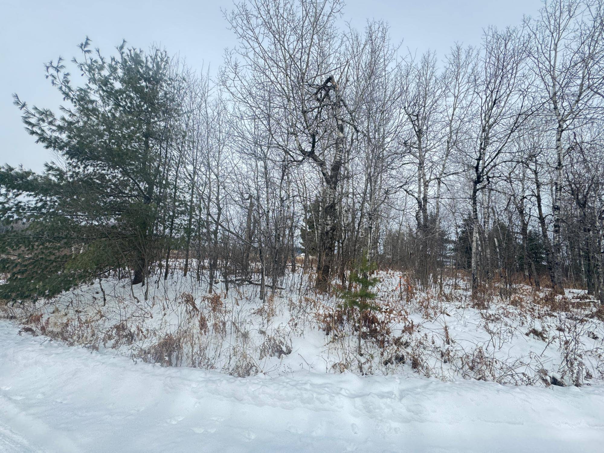 Rhinelander, WI 54501,OFF WILDWING CT