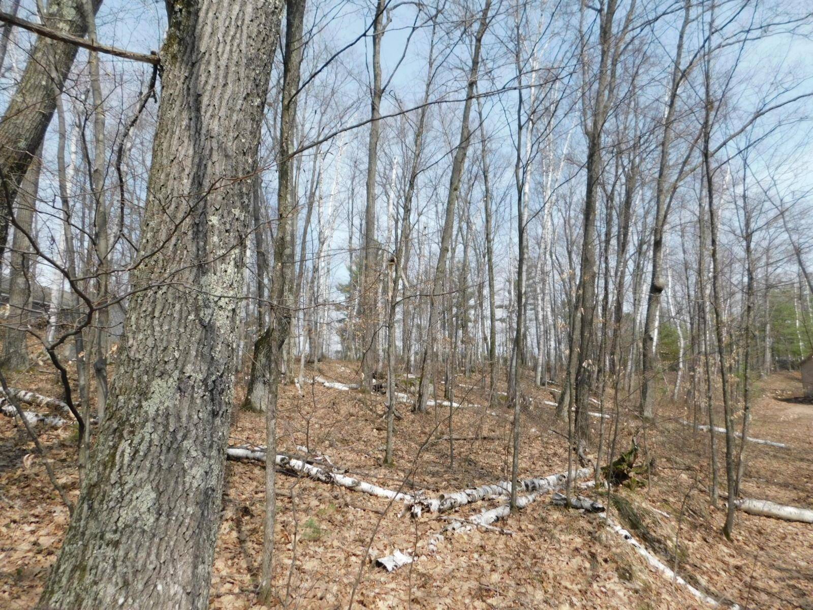 Rhinelander, WI 54501,Lot 8 ACORN LN