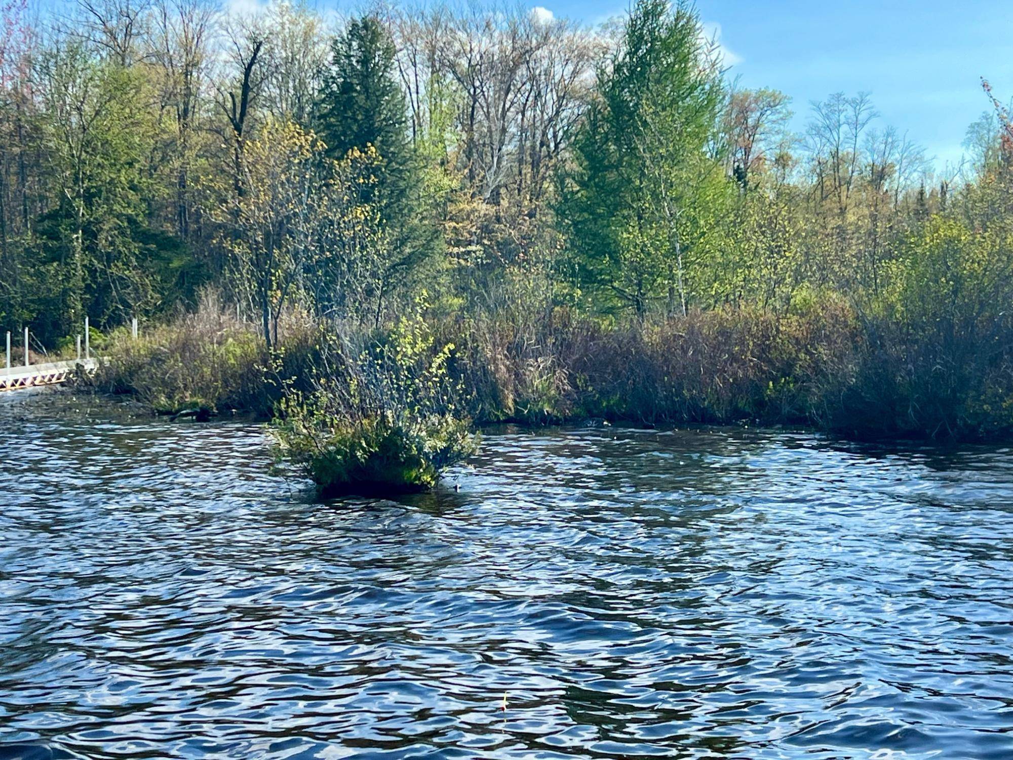 Tomahawk, WI 54487,Lot 9&10 PFEIFER RD