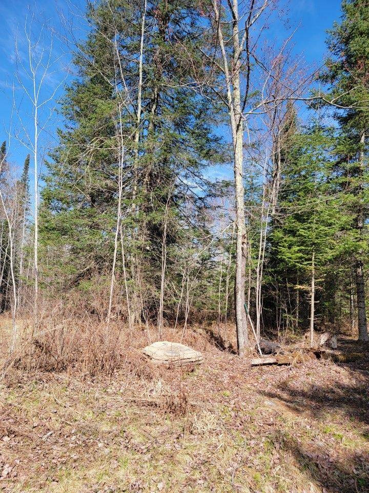 Loretta, WI 54896,ON LUDS LN