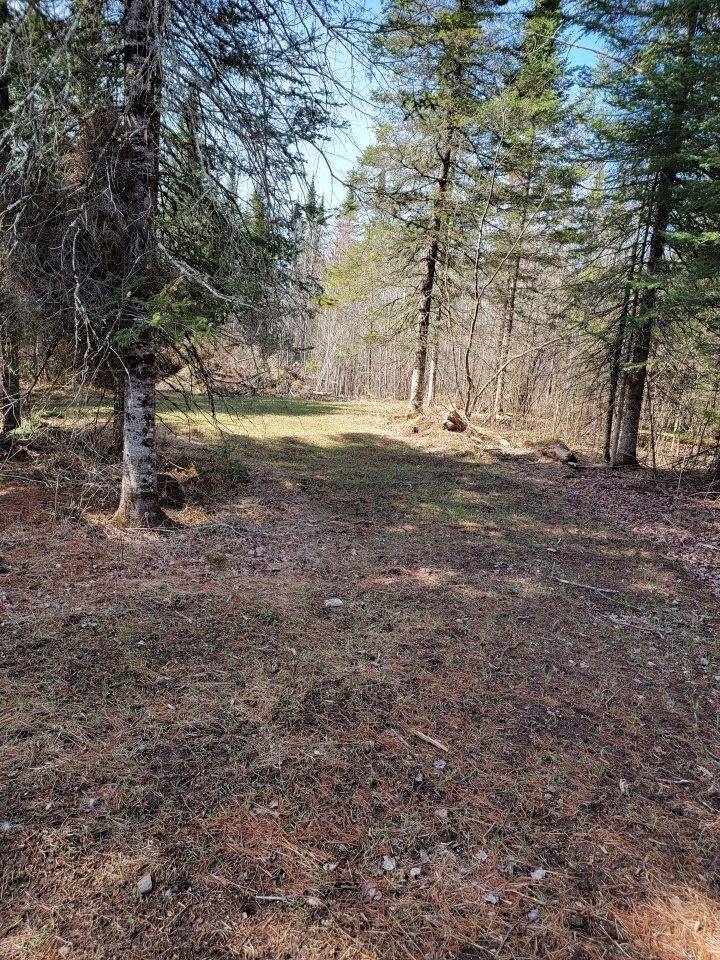 Loretta, WI 54896,ON LUDS LN