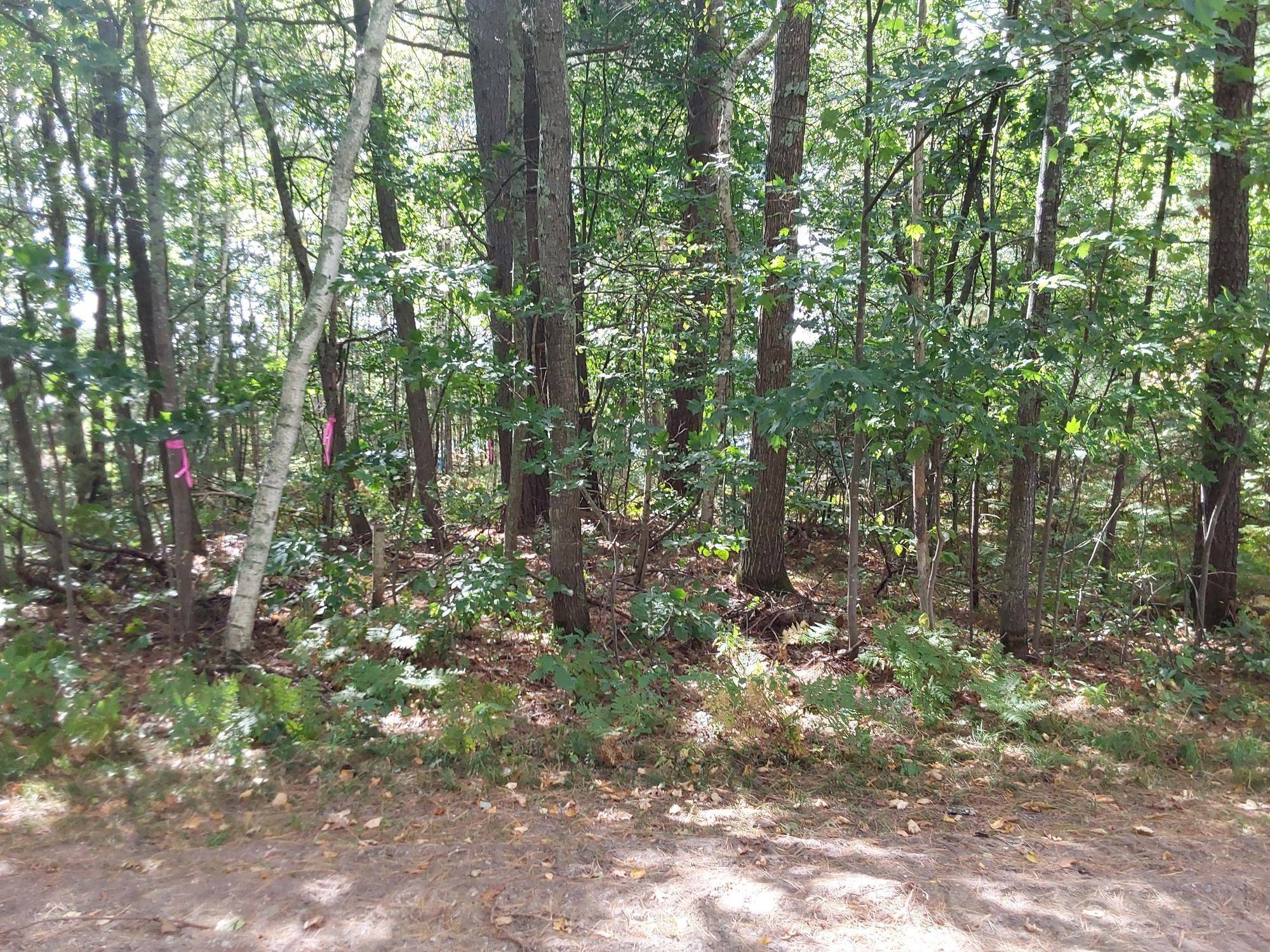 Minocqua, WI 54548,LOT 1 CURTIS LAKE DR