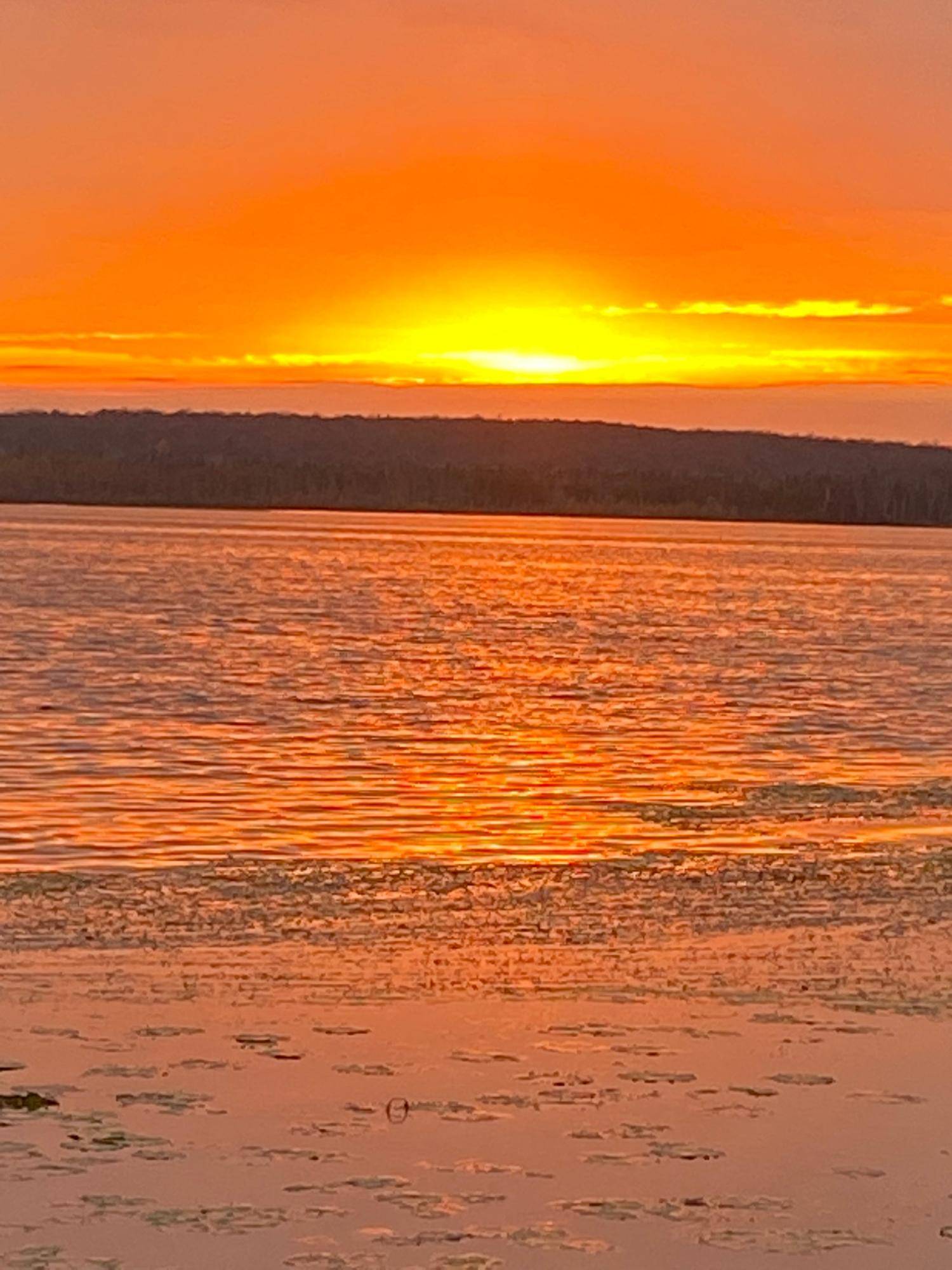 Pearson, WI 54462,N11415 SHORE RD E