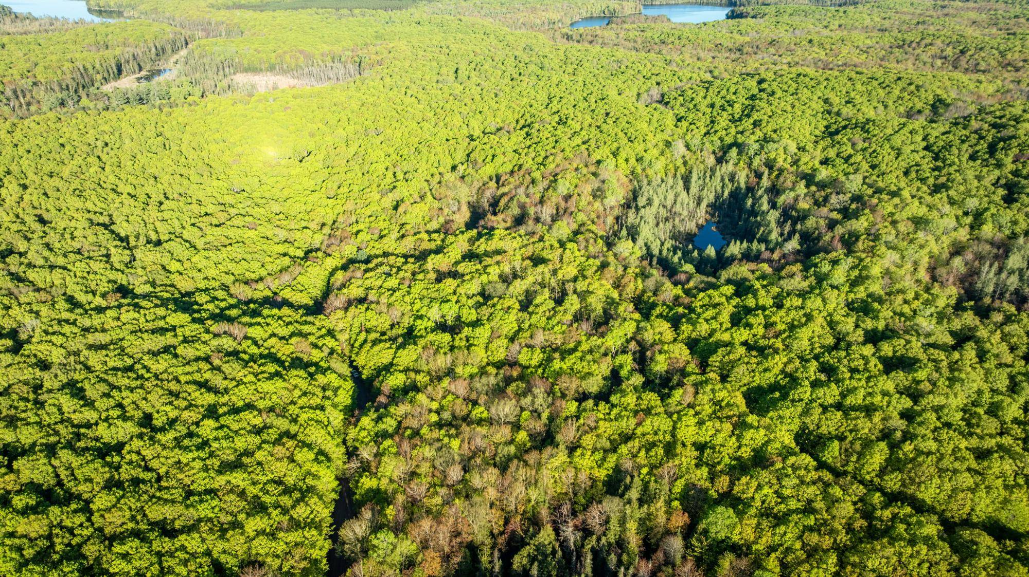 Presque Isle, WI 54557,Lot 9 ON WILDCAT RD