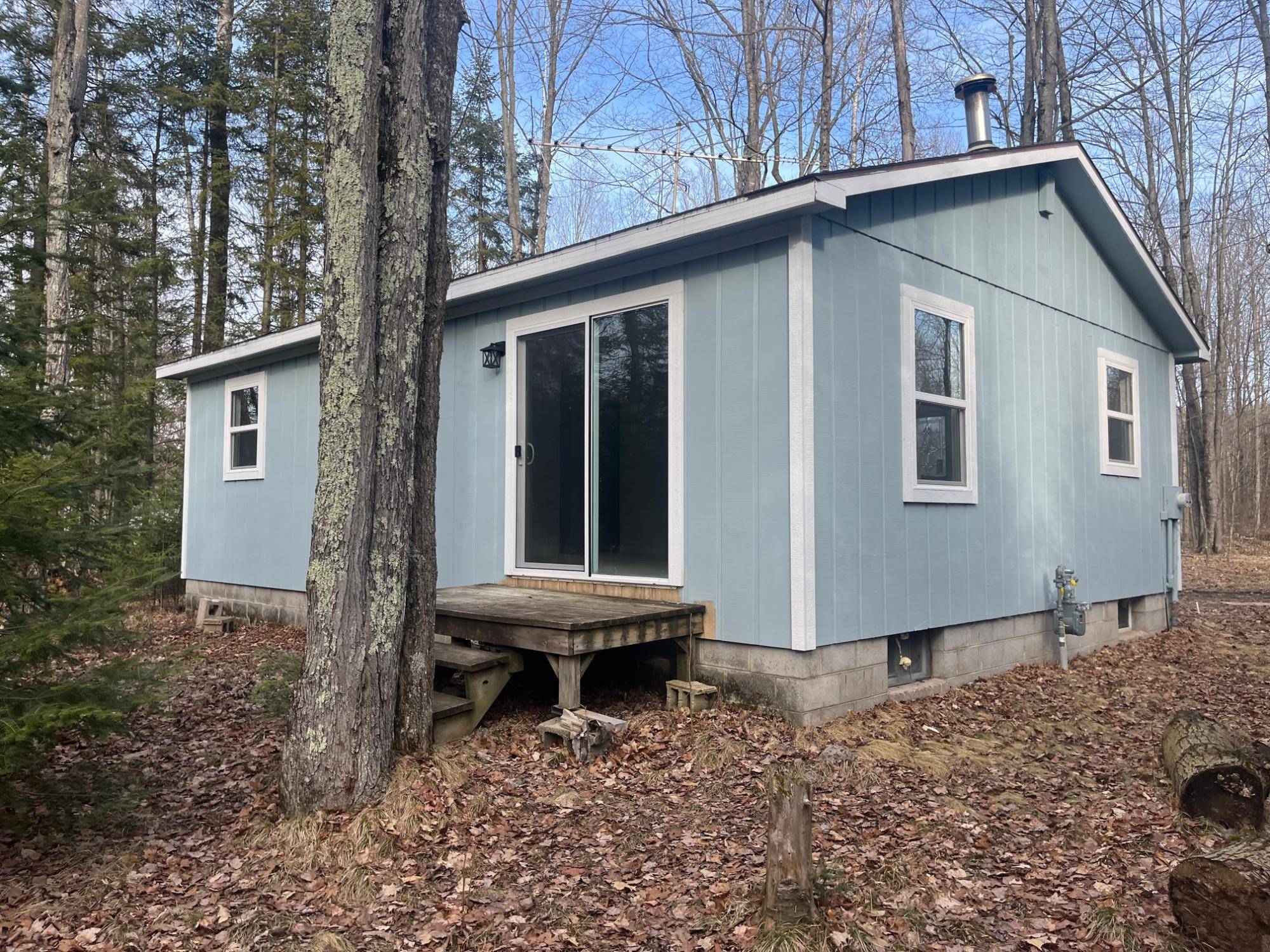 Townsend, WI 54175,17393 MCCASLIN DR