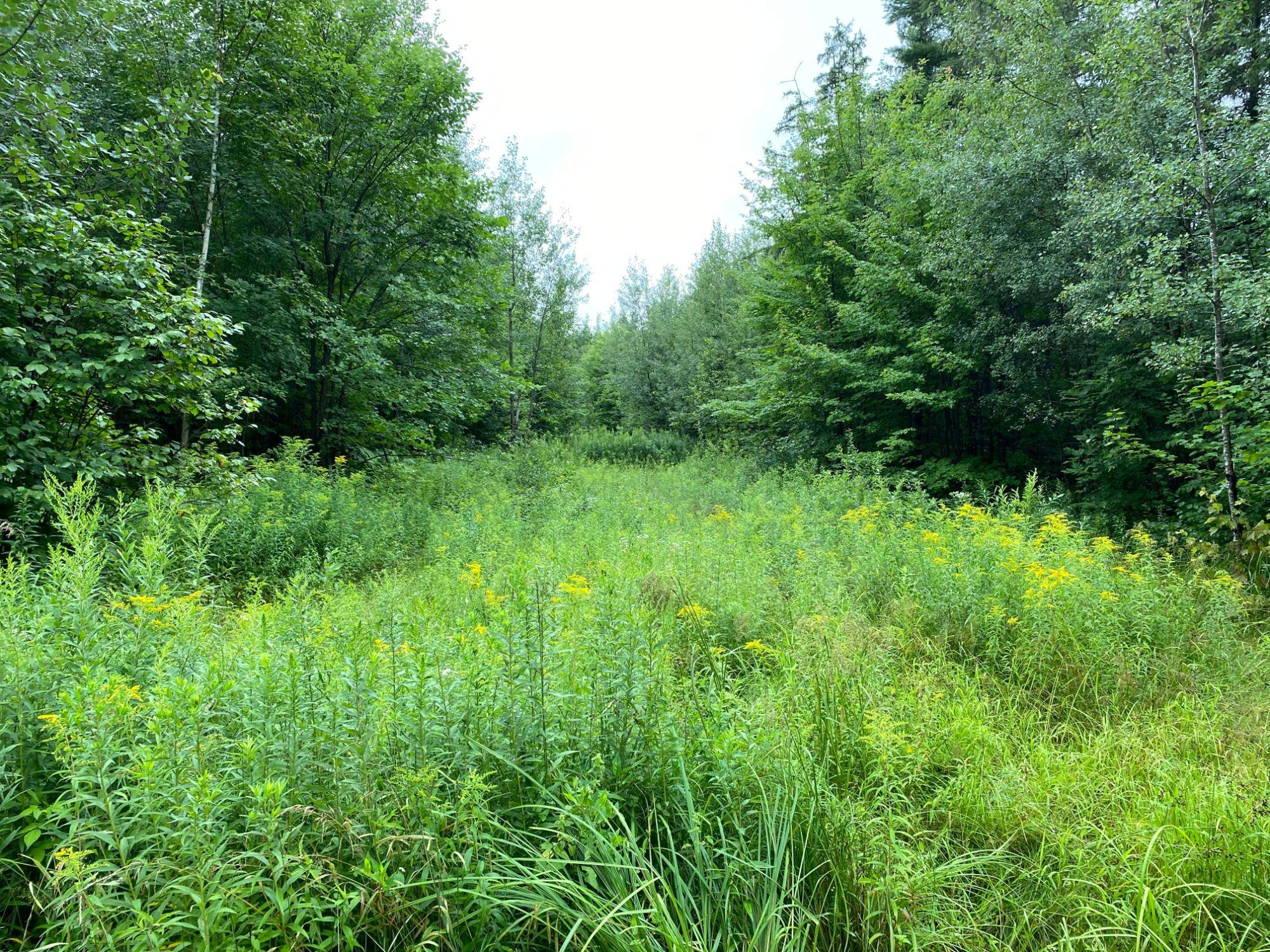 Merrill, WI 54452,ON JOE SNOW RD
