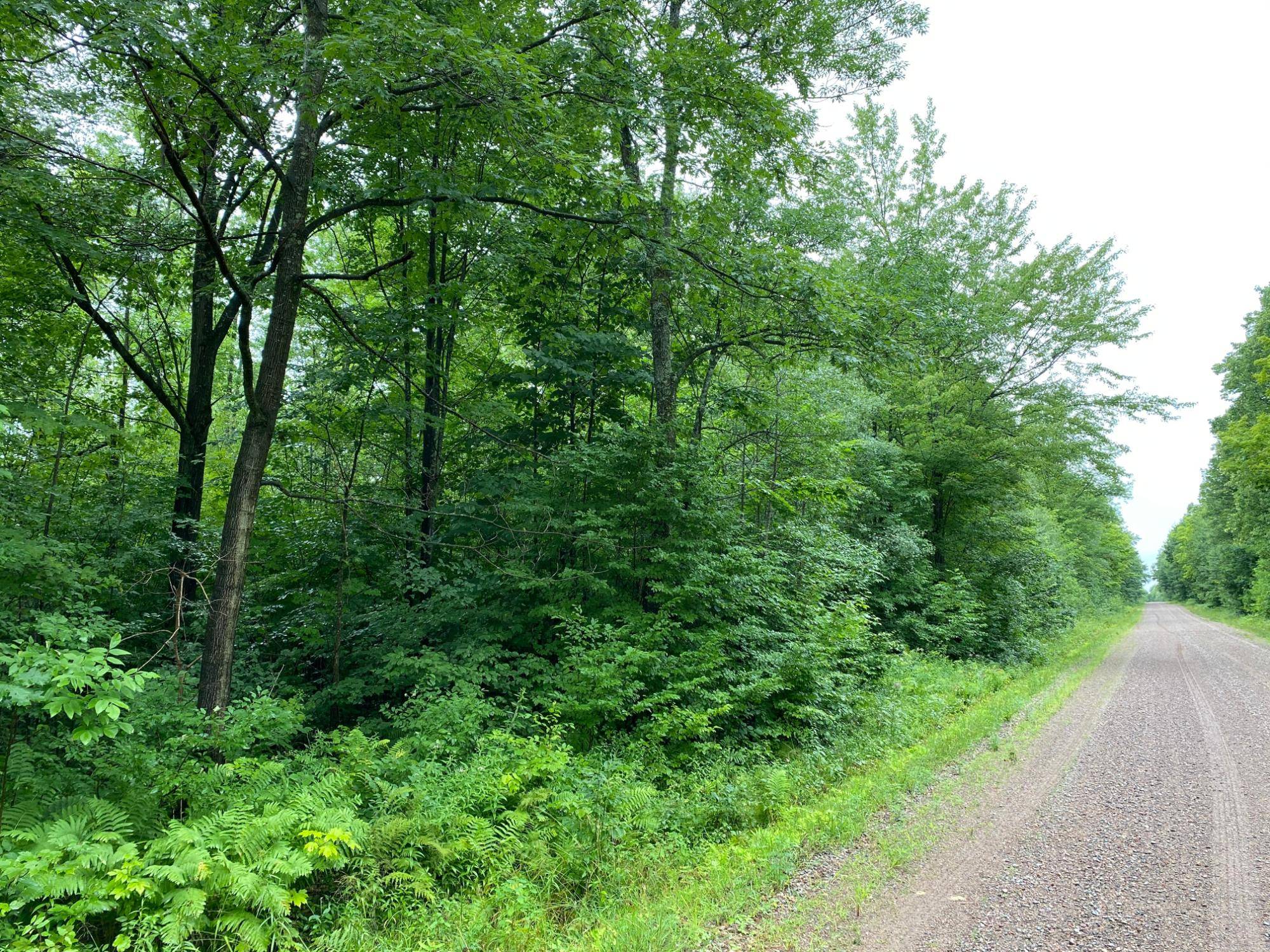 Merrill, WI 54452,ON JOE SNOW RD