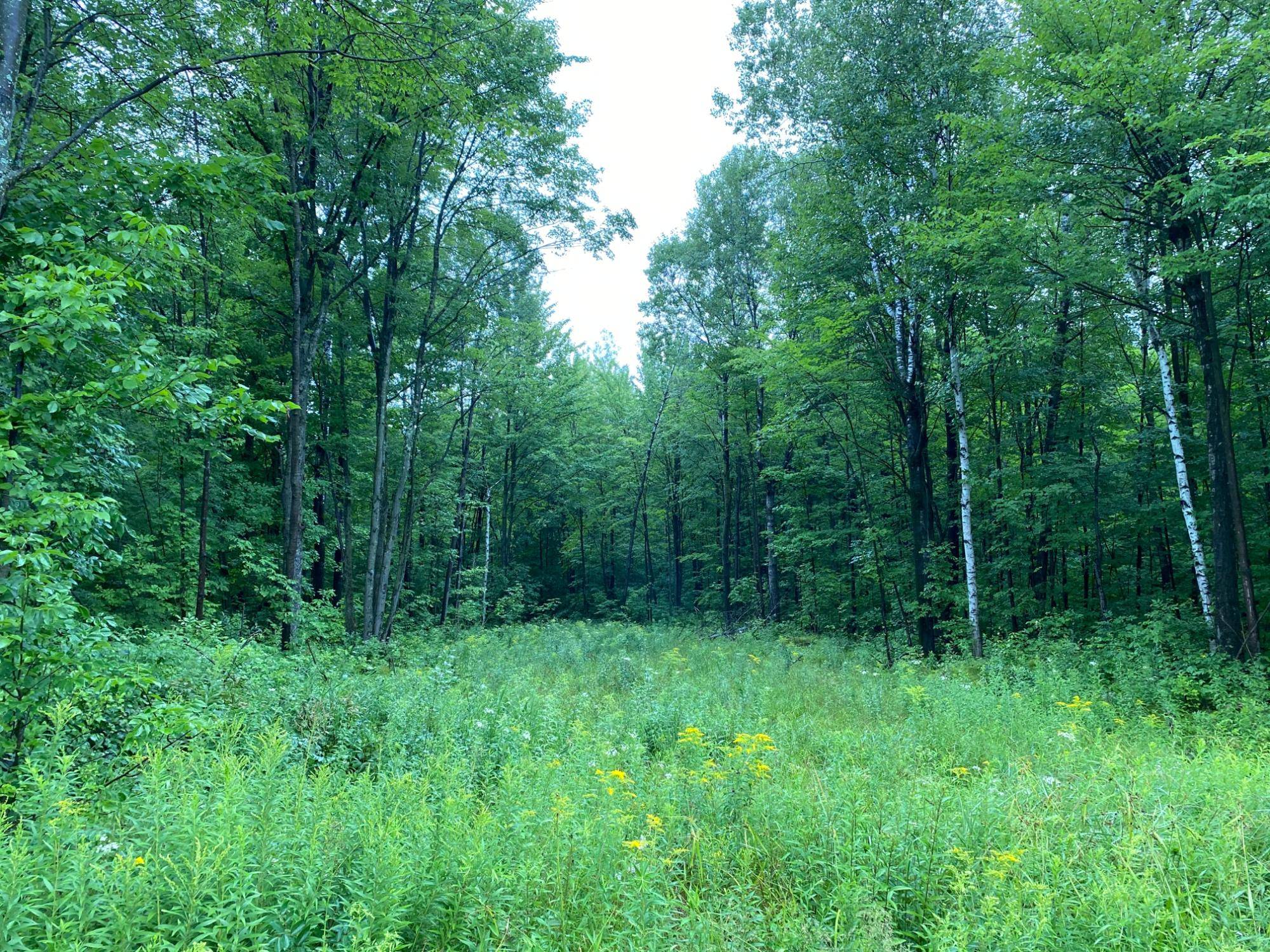 Merrill, WI 54452,ON JOE SNOW RD