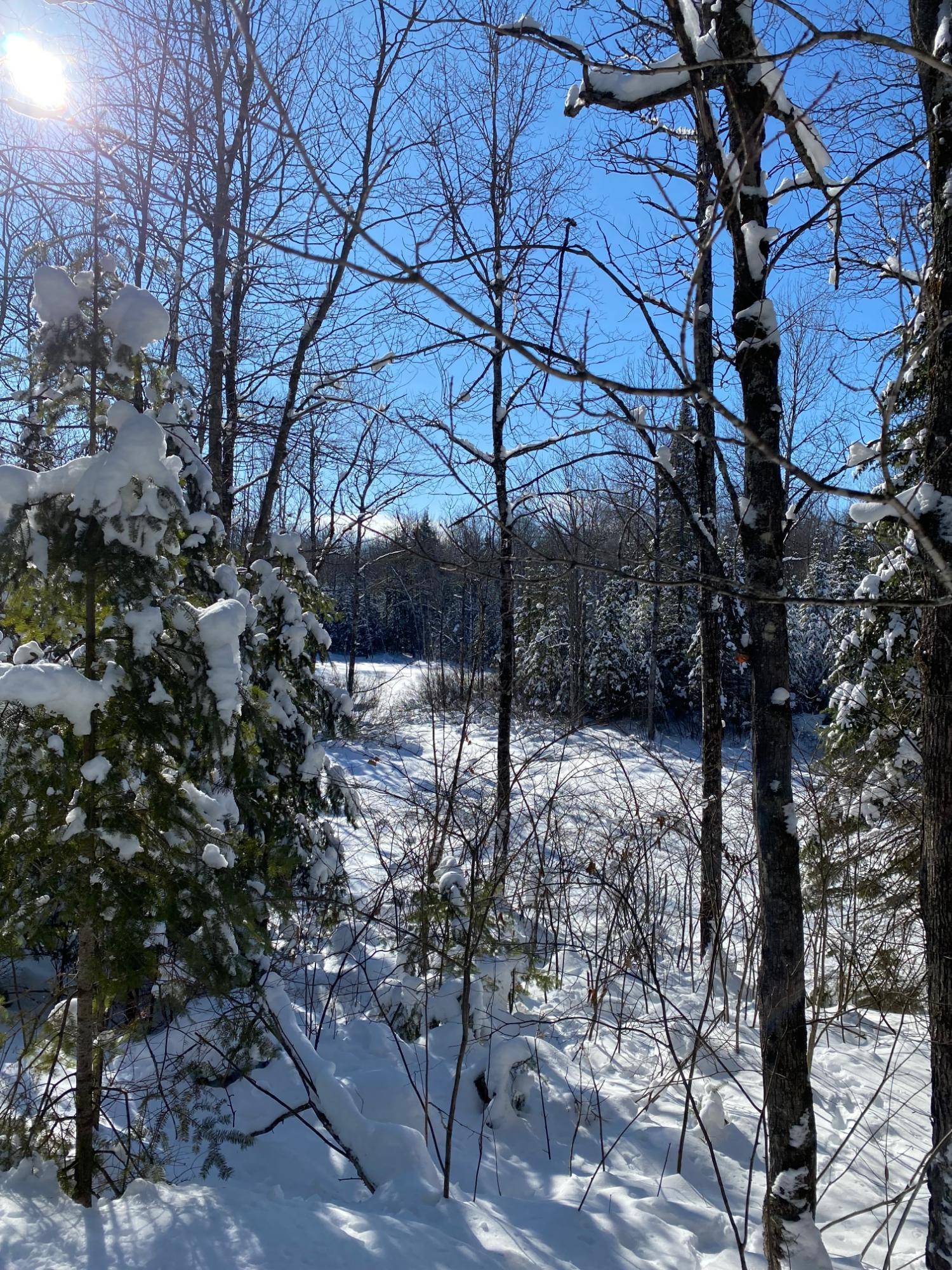 Park Falls, WI 54552,NEAR HWY 182