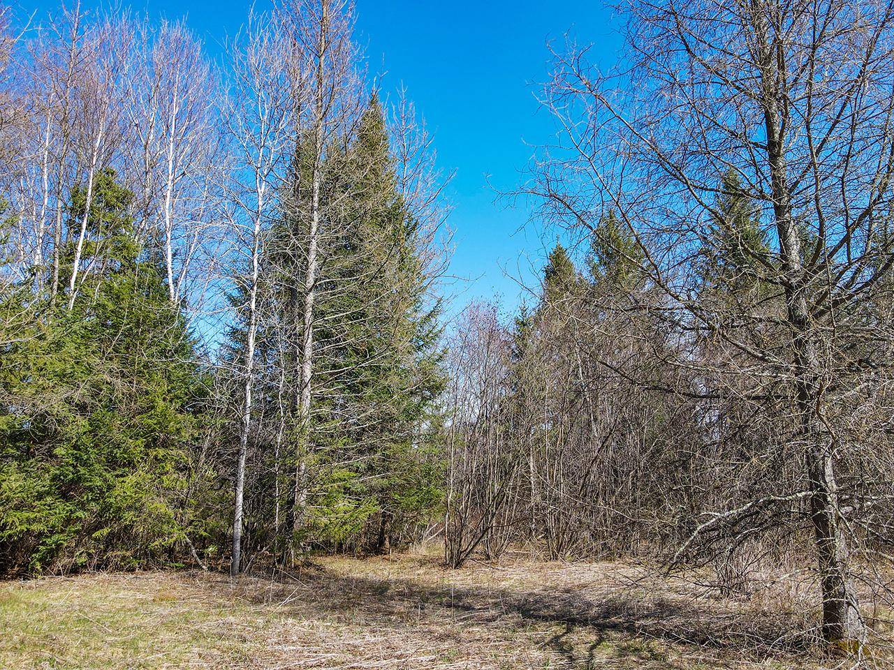 Tomahawk, WI 54487,100 Ac CTH E