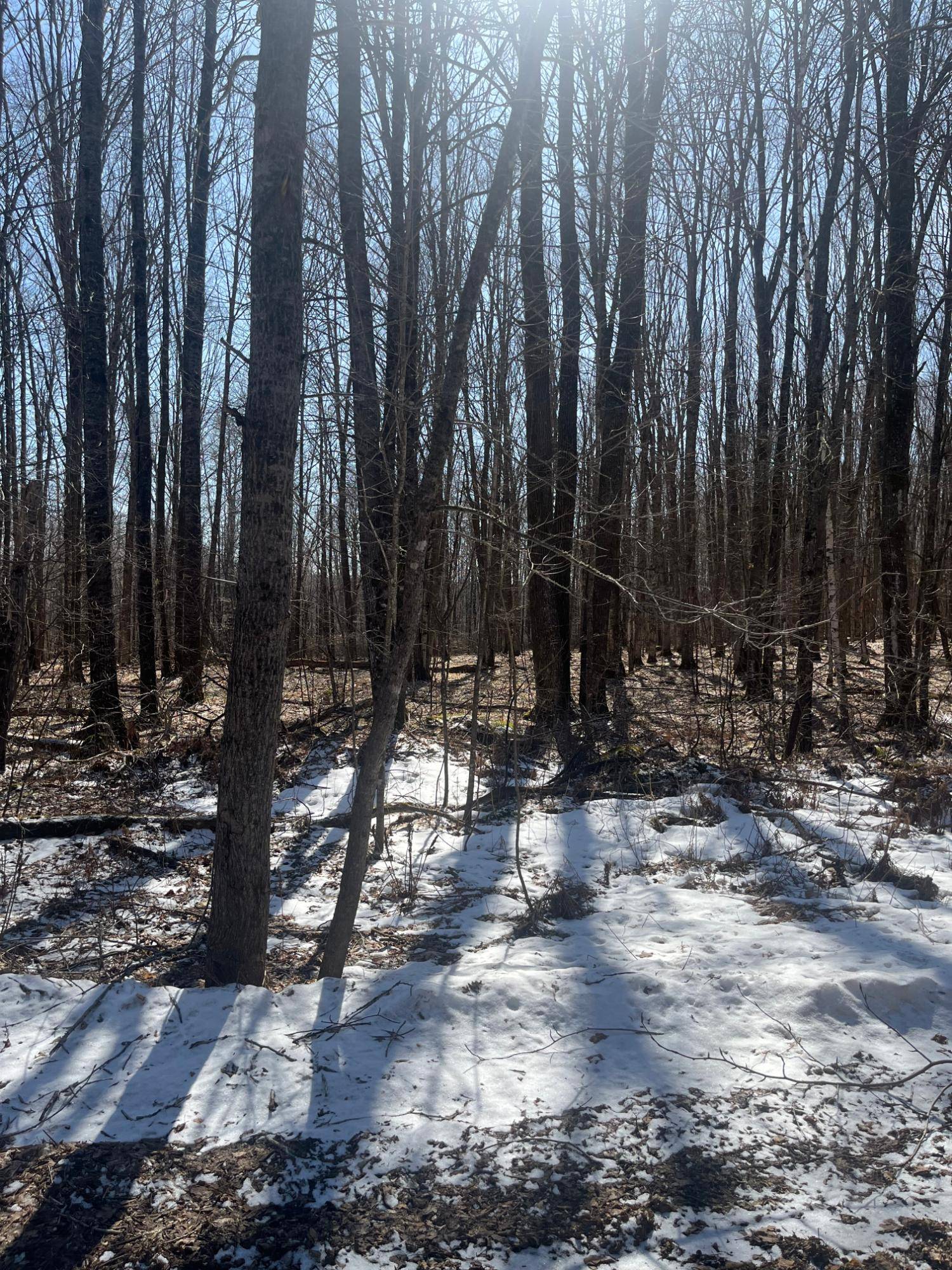 Long Lake, WI 54542,10555 EASEMENT RD