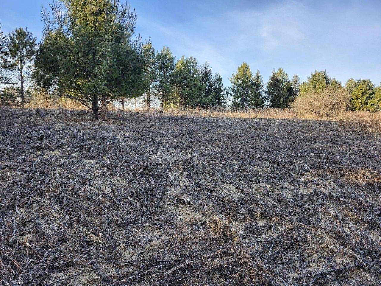 Ogema, WI 54459,ON LUKES HEIGHTS RD #Lot 12