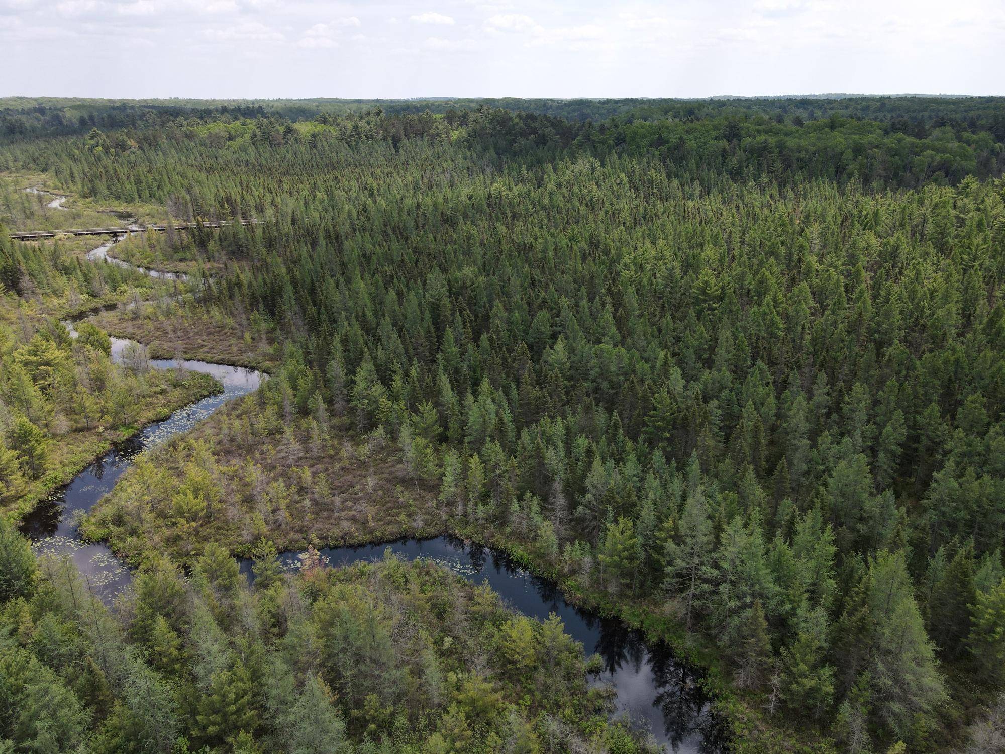 Minocqua, WI 54531,Off HWY 51 #438 Acres