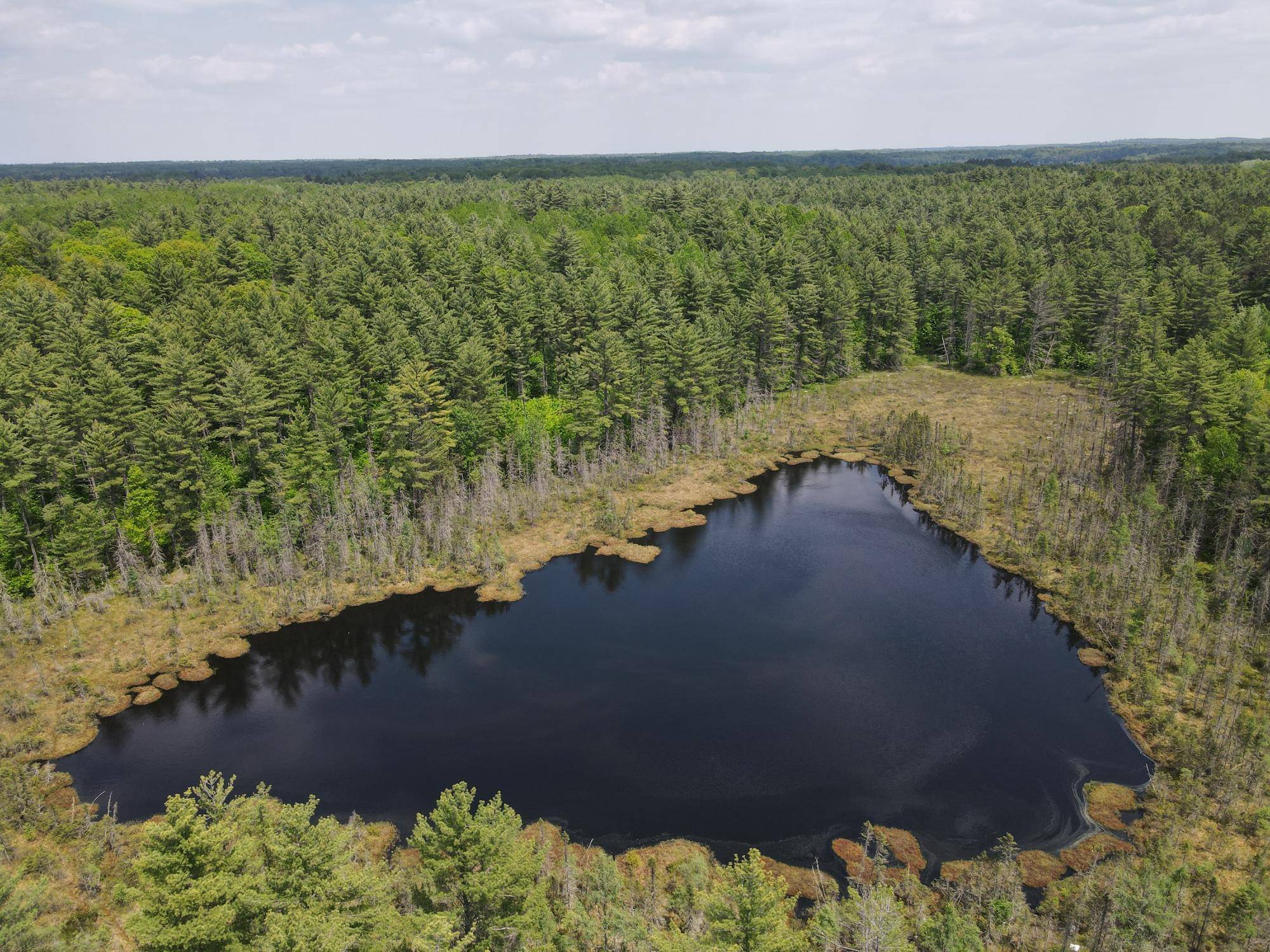 Minocqua, WI 54531,Off HWY 51 #438 Acres
