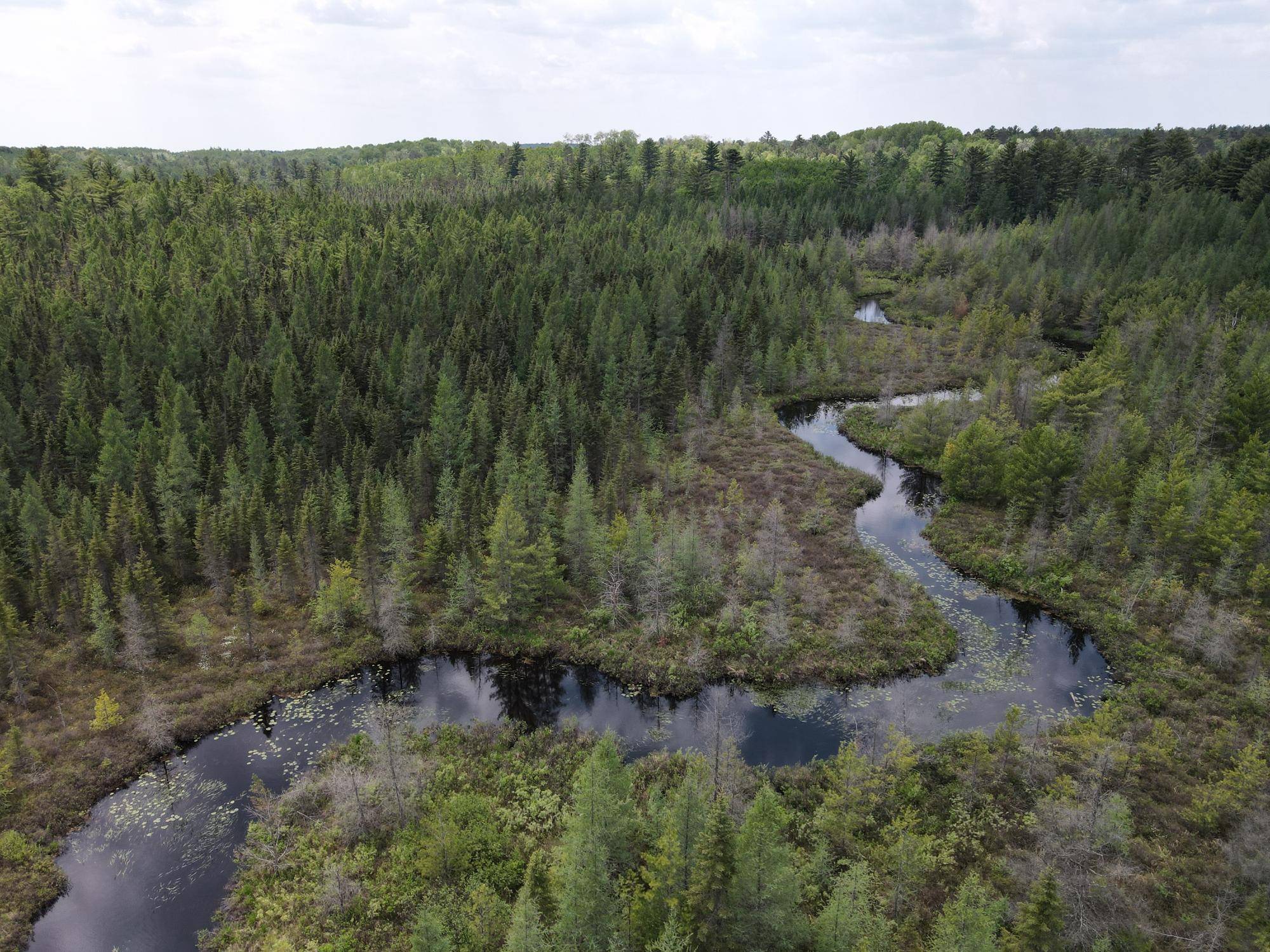 Minocqua, WI 54531,Off HWY 51 #438 Acres