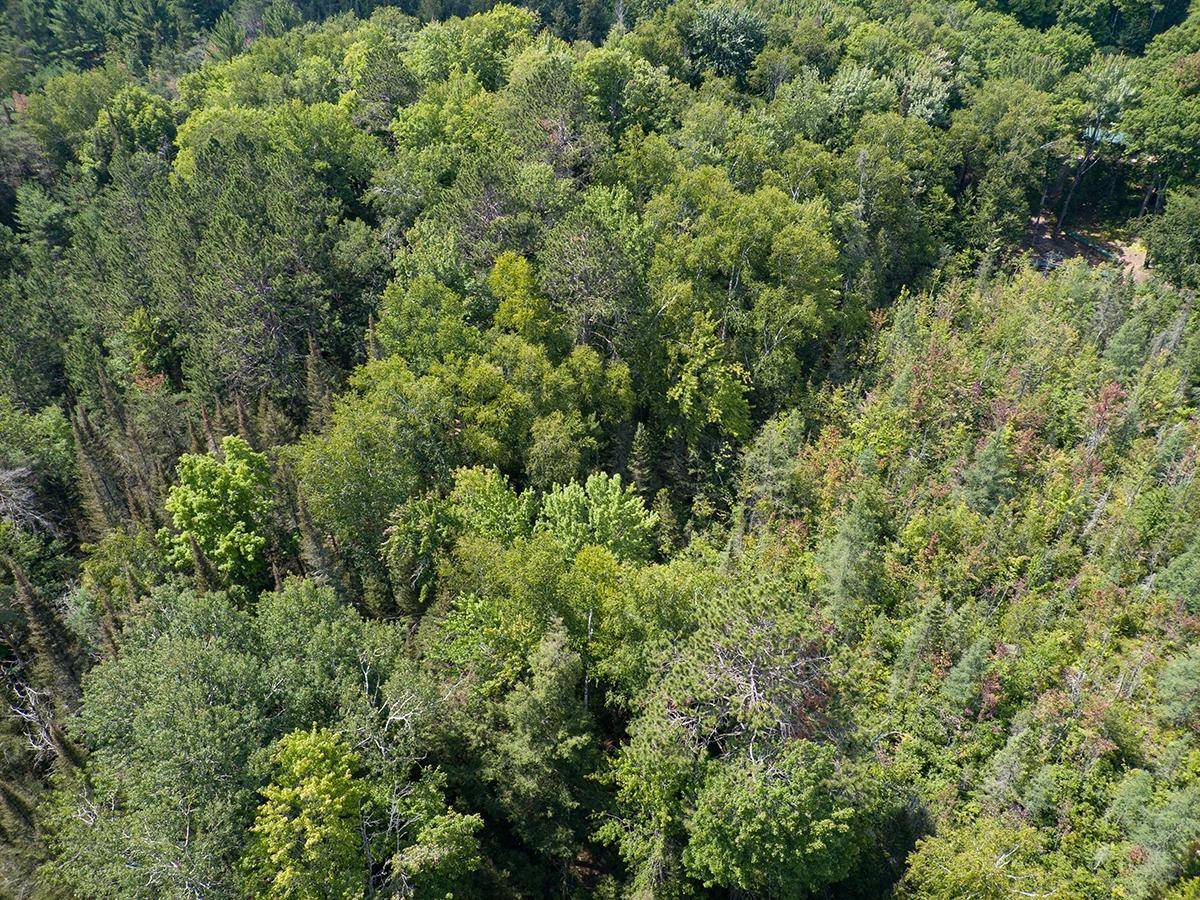 Eagle River, WI 54521,4708 LYONS LN