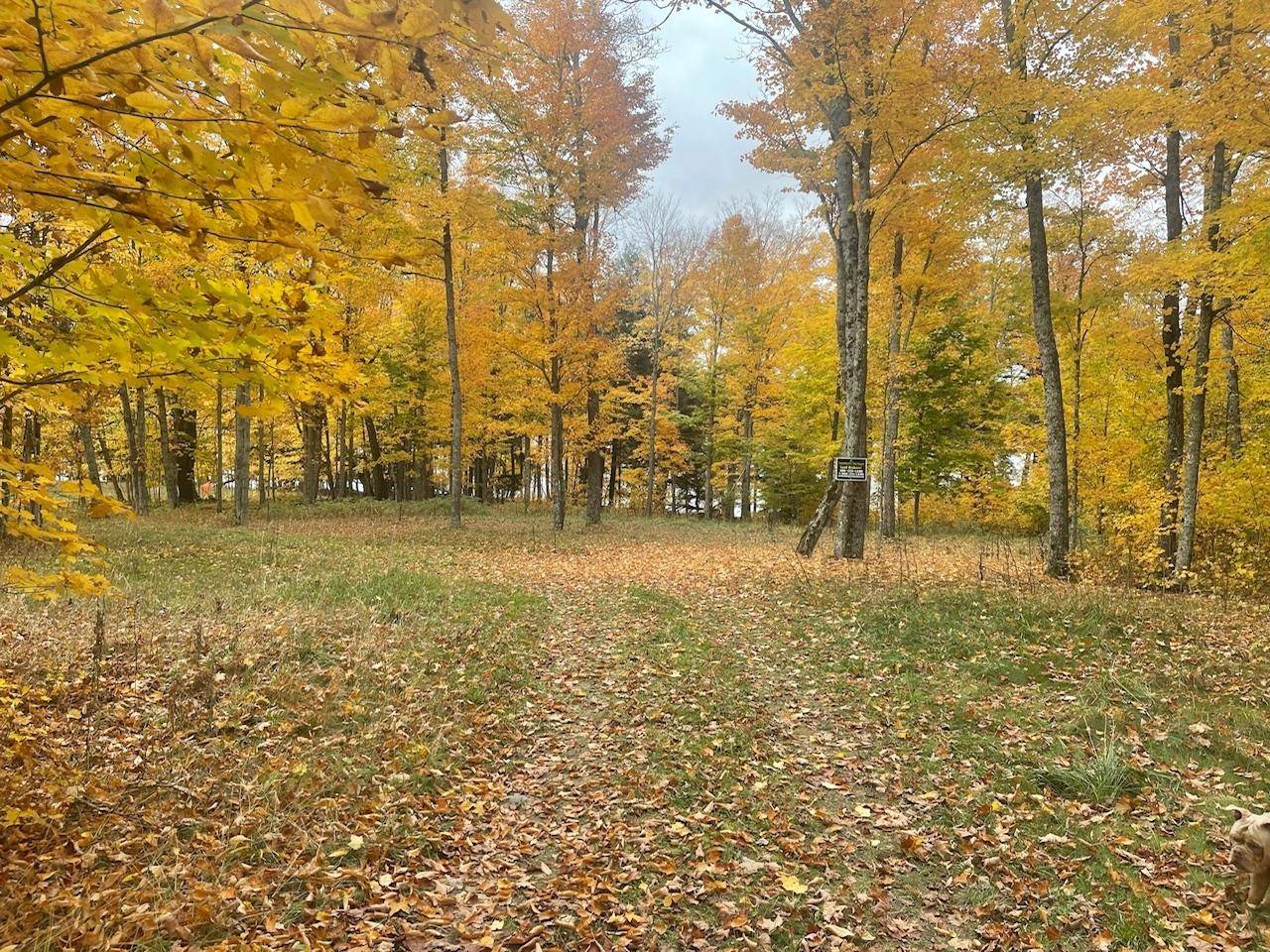 Iron River, MI 49935,TBD UNIVERSITY DR