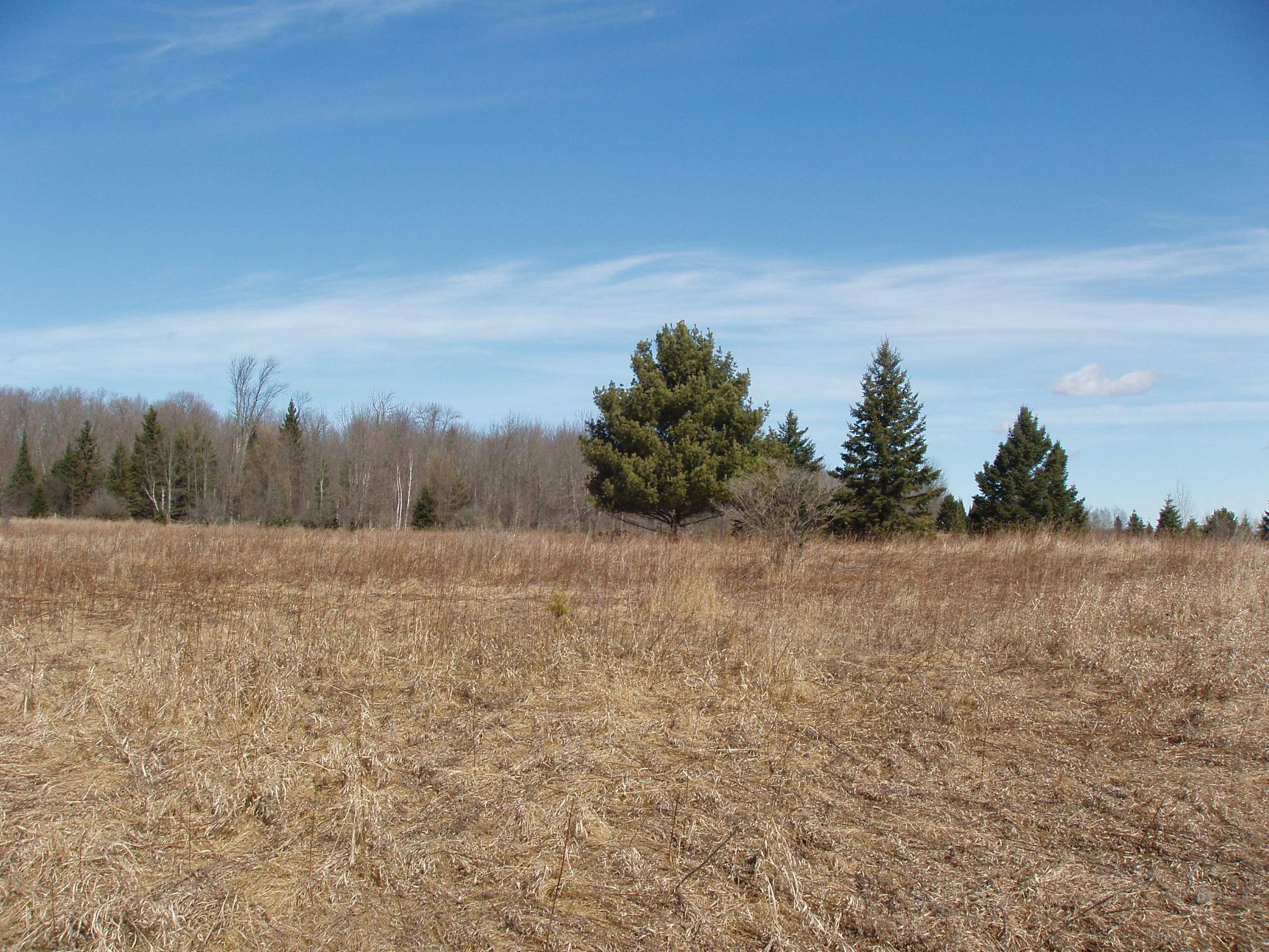 Park Falls, WI 54552,2nd Add. NORTH RIVER RD #Lot 2