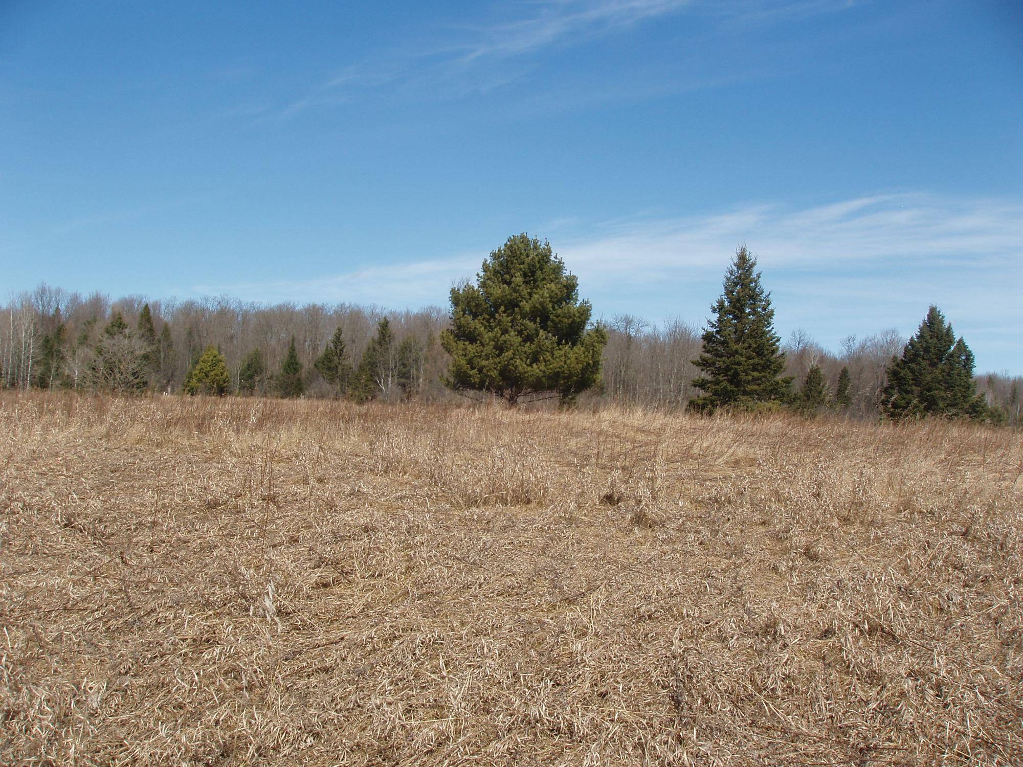 Park Falls, WI 54552,2nd Add. NORTH RIVER RD #Lot 2