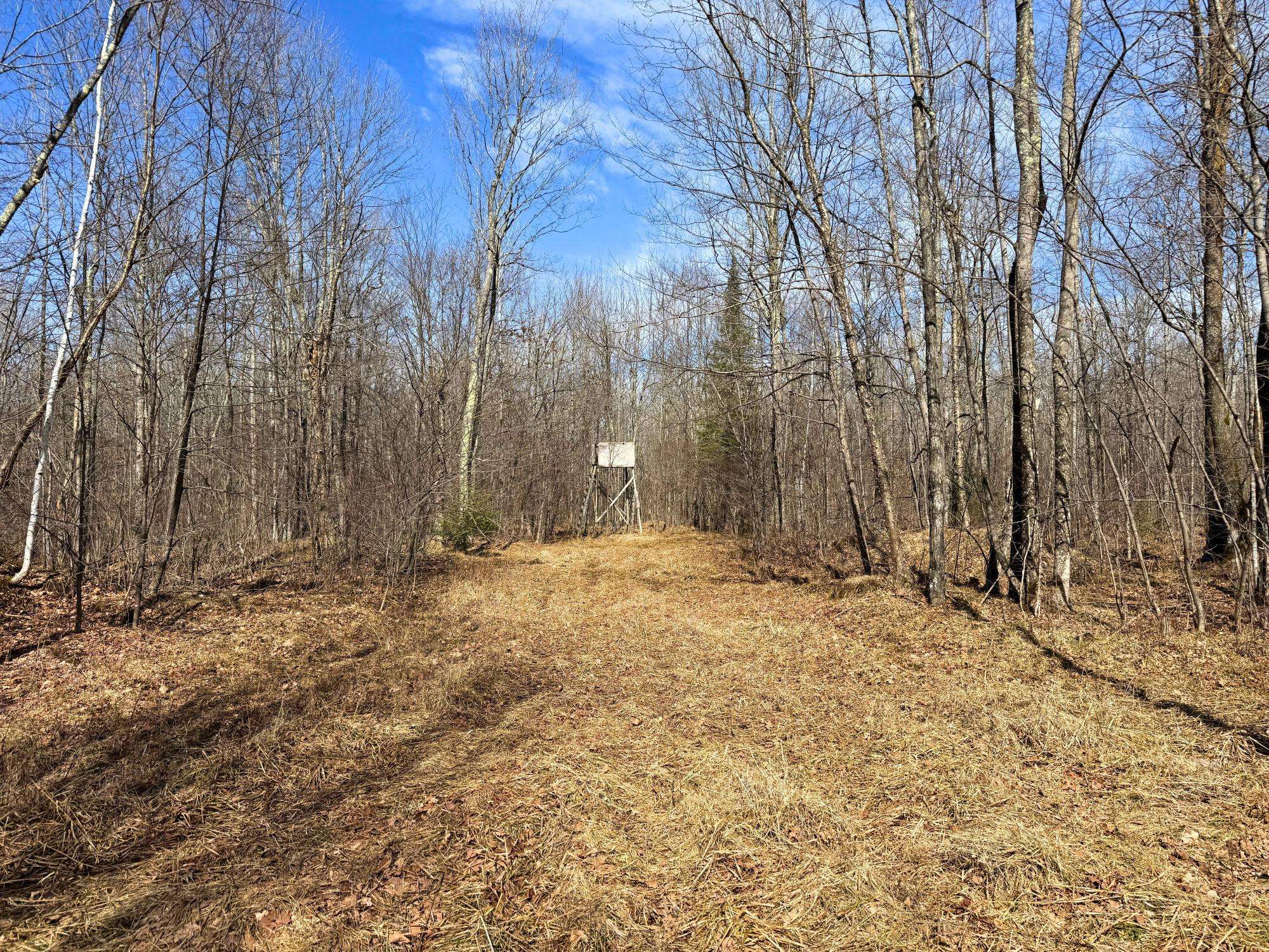 Tripoli, WI 54564,N10848 CTH YY