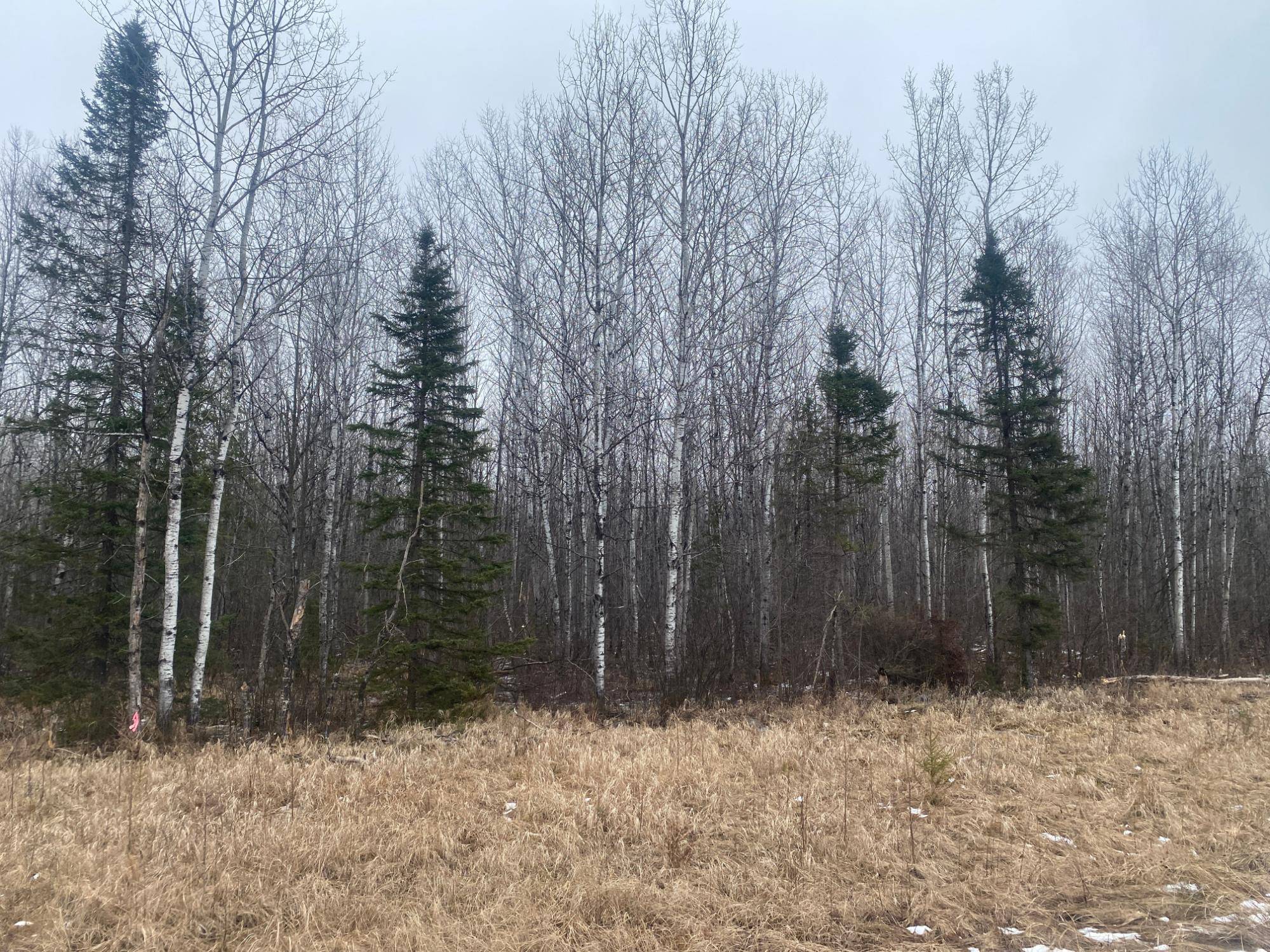 Tomahawk, WI 54487,ON CTH E