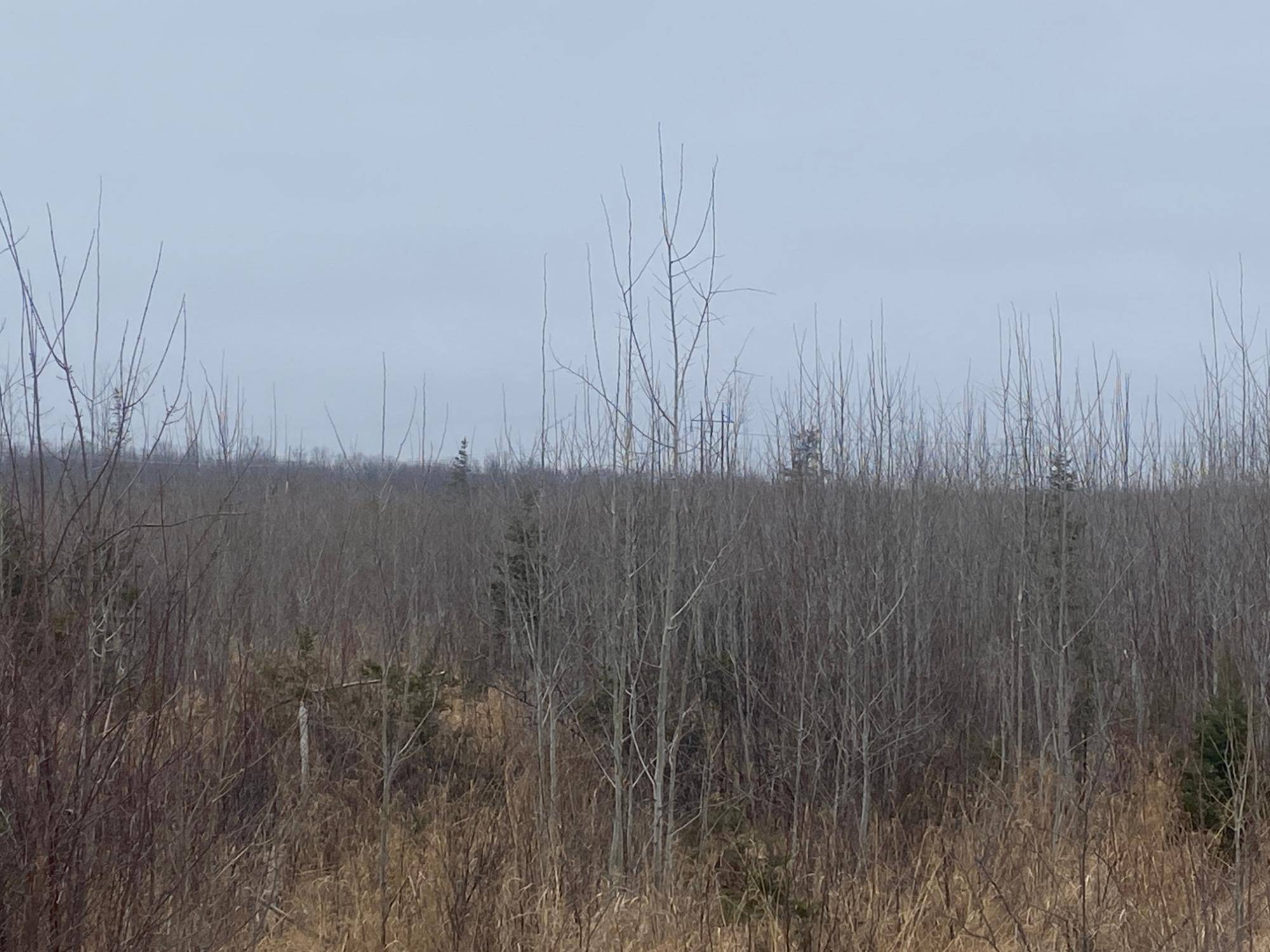 Merrill, WI 54452,ON HWY 64