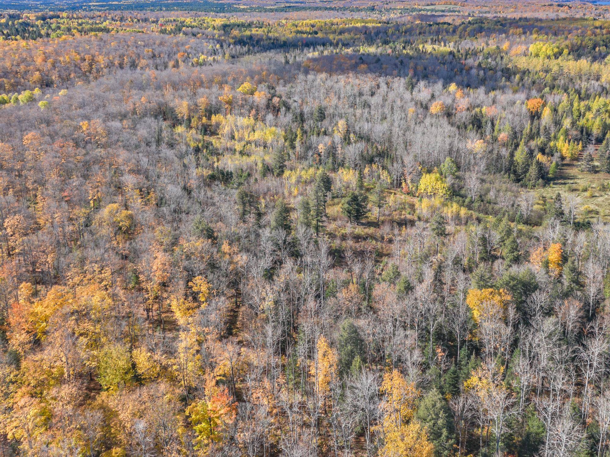 Phelps, WI 54554,off HAWK SOUP LN