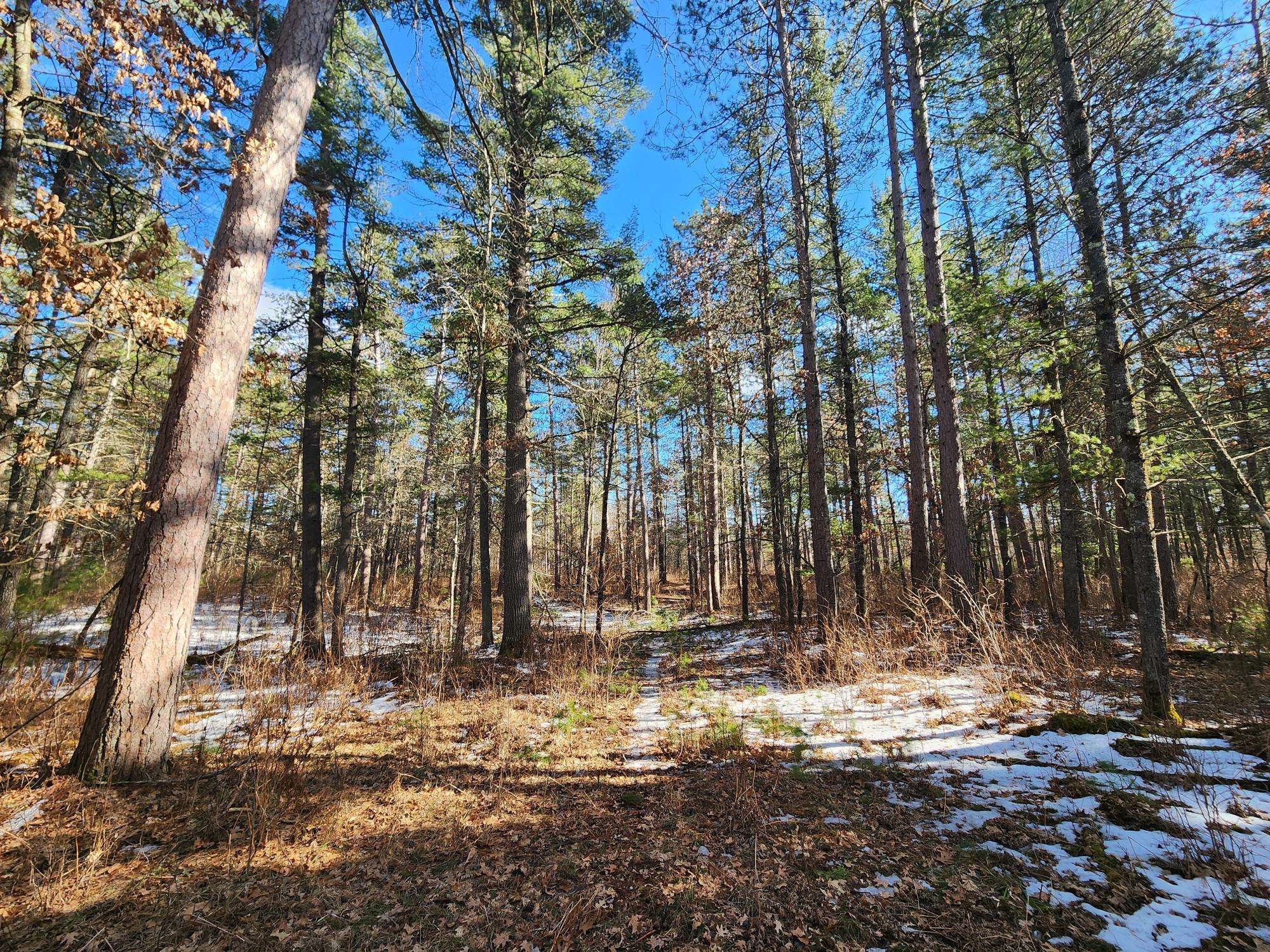 St Germain, WI 54558,32 Acres HWY 70