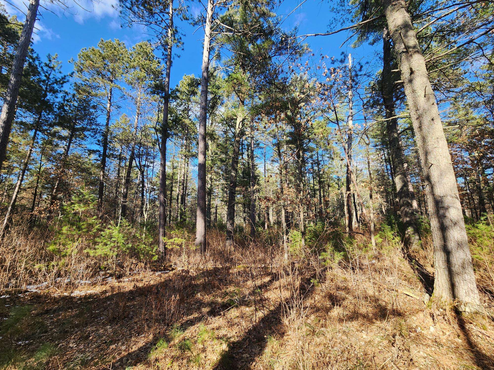 St Germain, WI 54558,32 Acres HWY 70