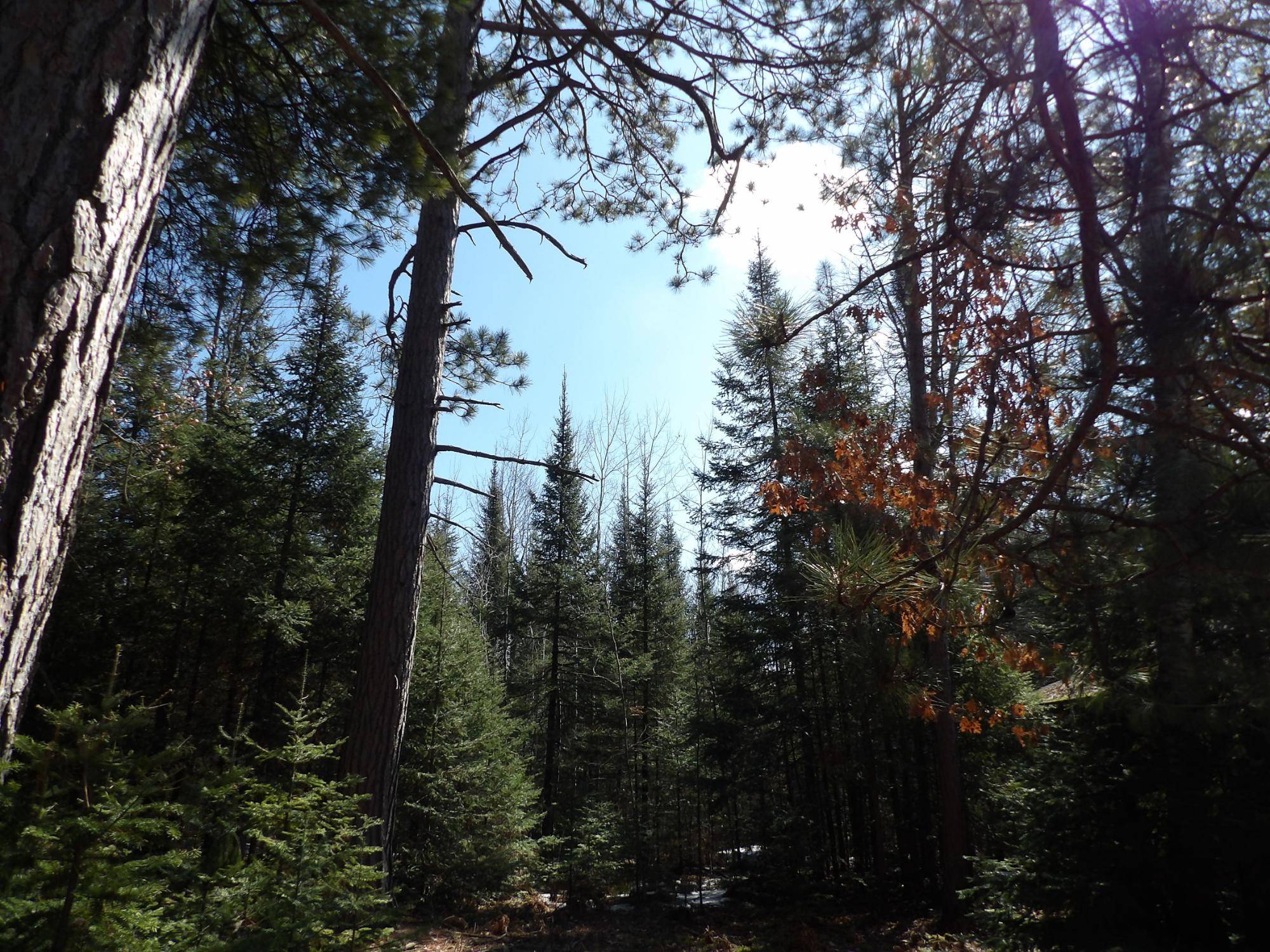 Rhinelander, WI 54501,16+ AC RIVER RD