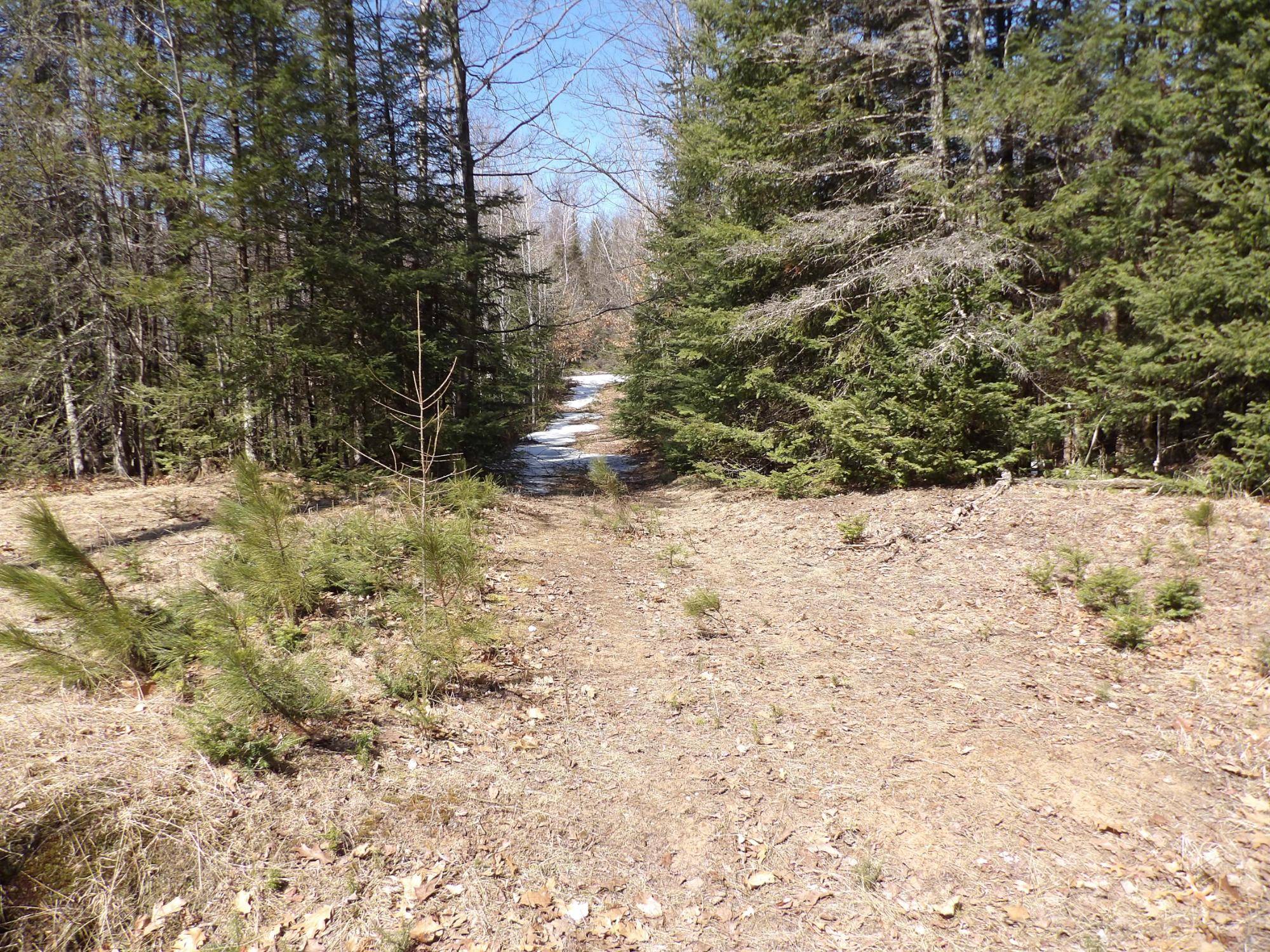 Rhinelander, WI 54501,16+ AC RIVER RD