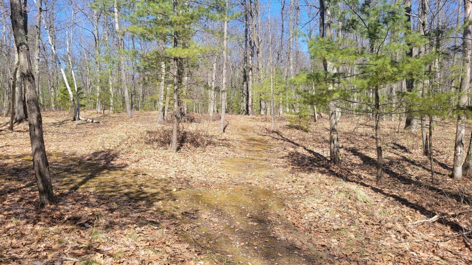 Minocqua, WI 54548,LOT C SWAN LAKE DR