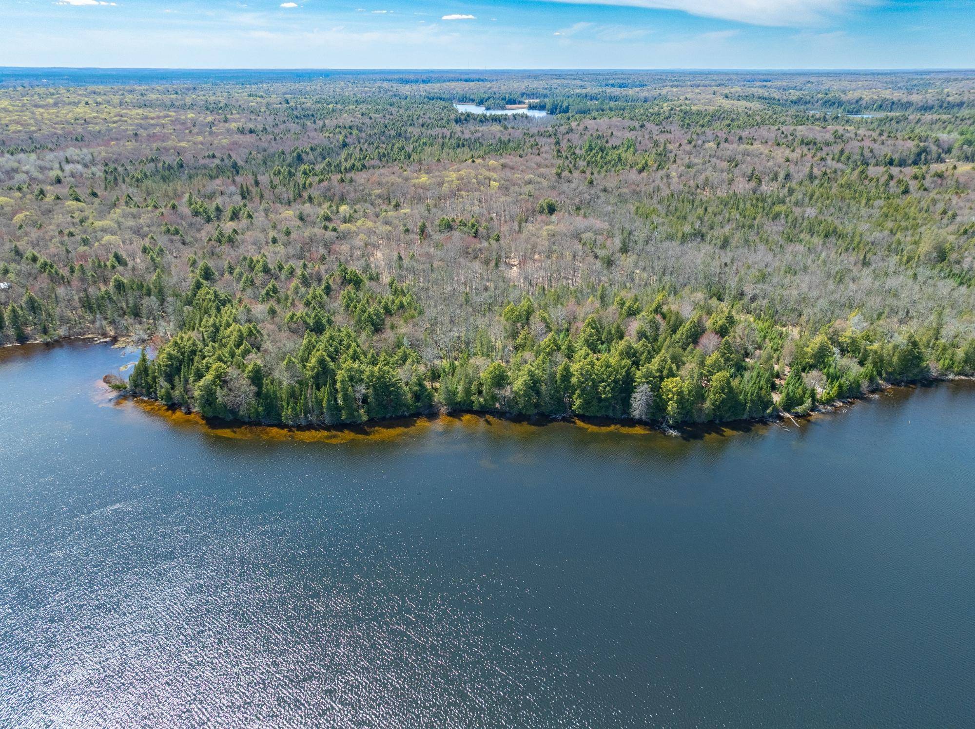 Land O Lakes, MI 49969,Off DUCK LAKE RD E
