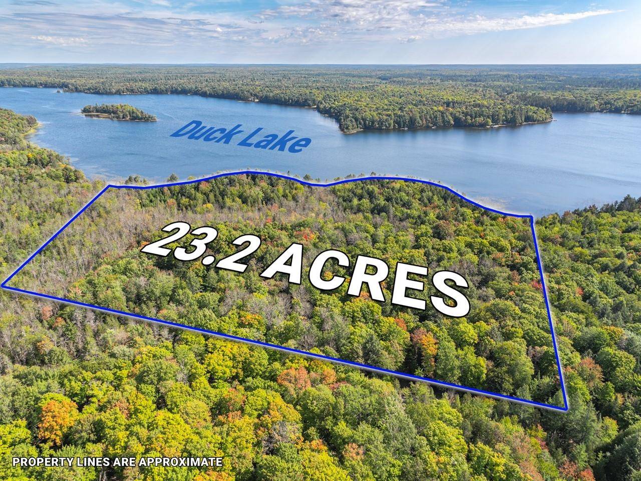 Land O Lakes, MI 49969,Off DUCK LAKE RD E