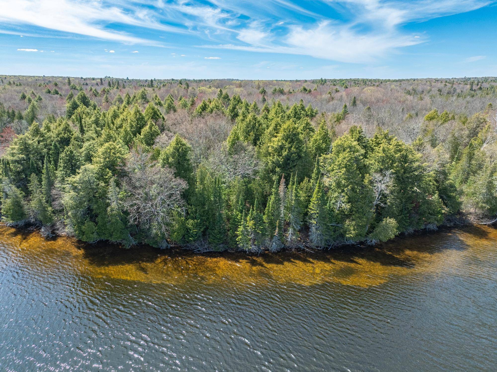Land O Lakes, MI 49969,Off DUCK LAKE RD E