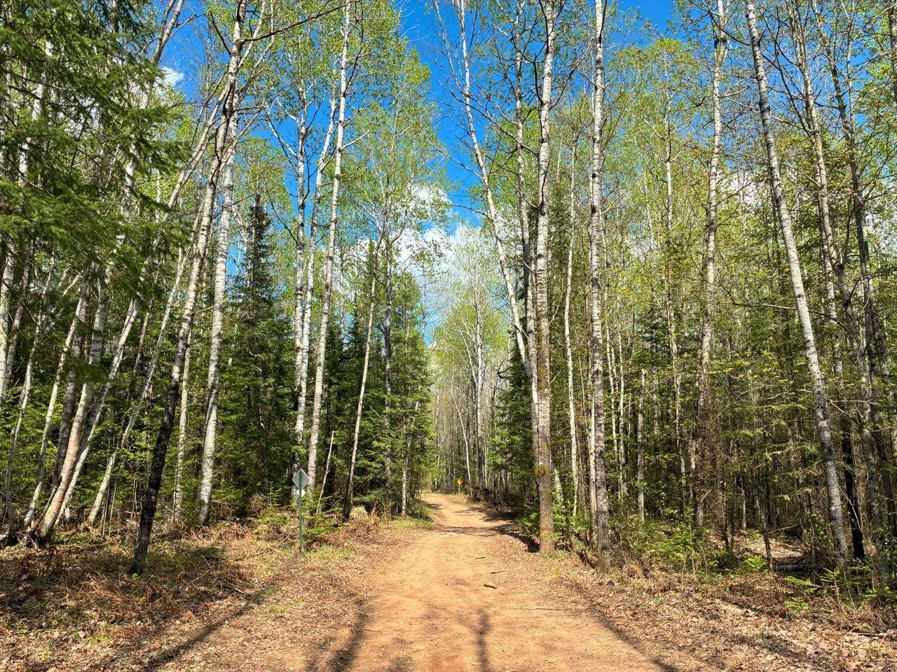 Mercer, WI 54547,119 Acre CTH FF
