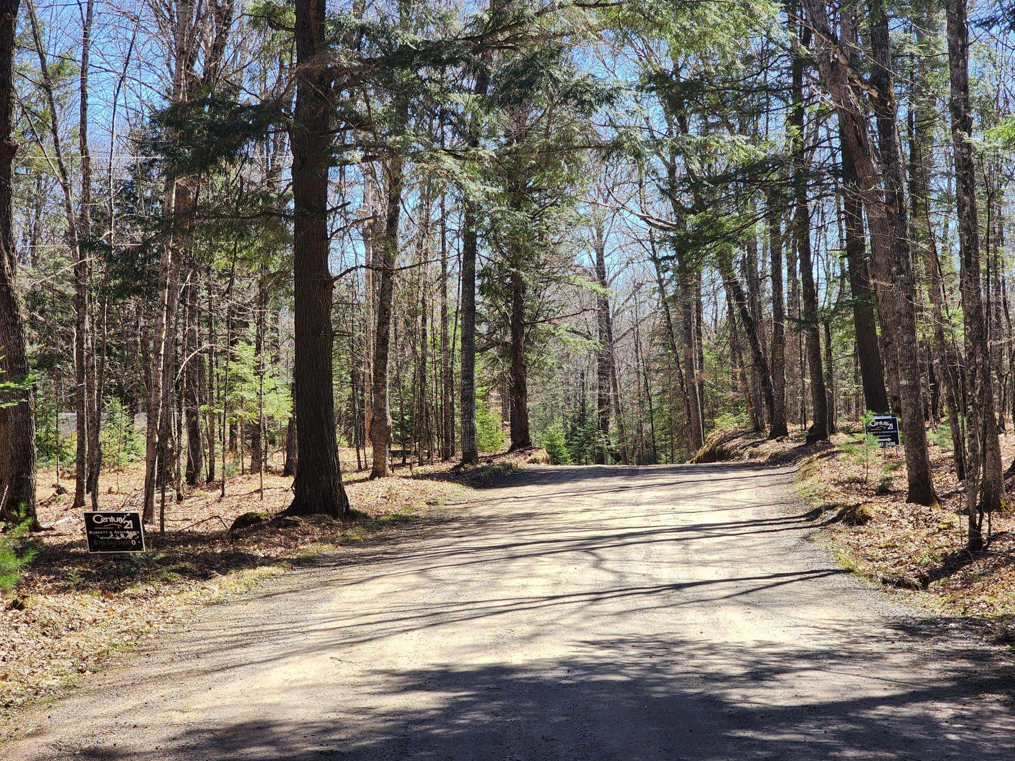 Watersmeet, MI 49969,ON BLACK BEAR RD #Lot 4