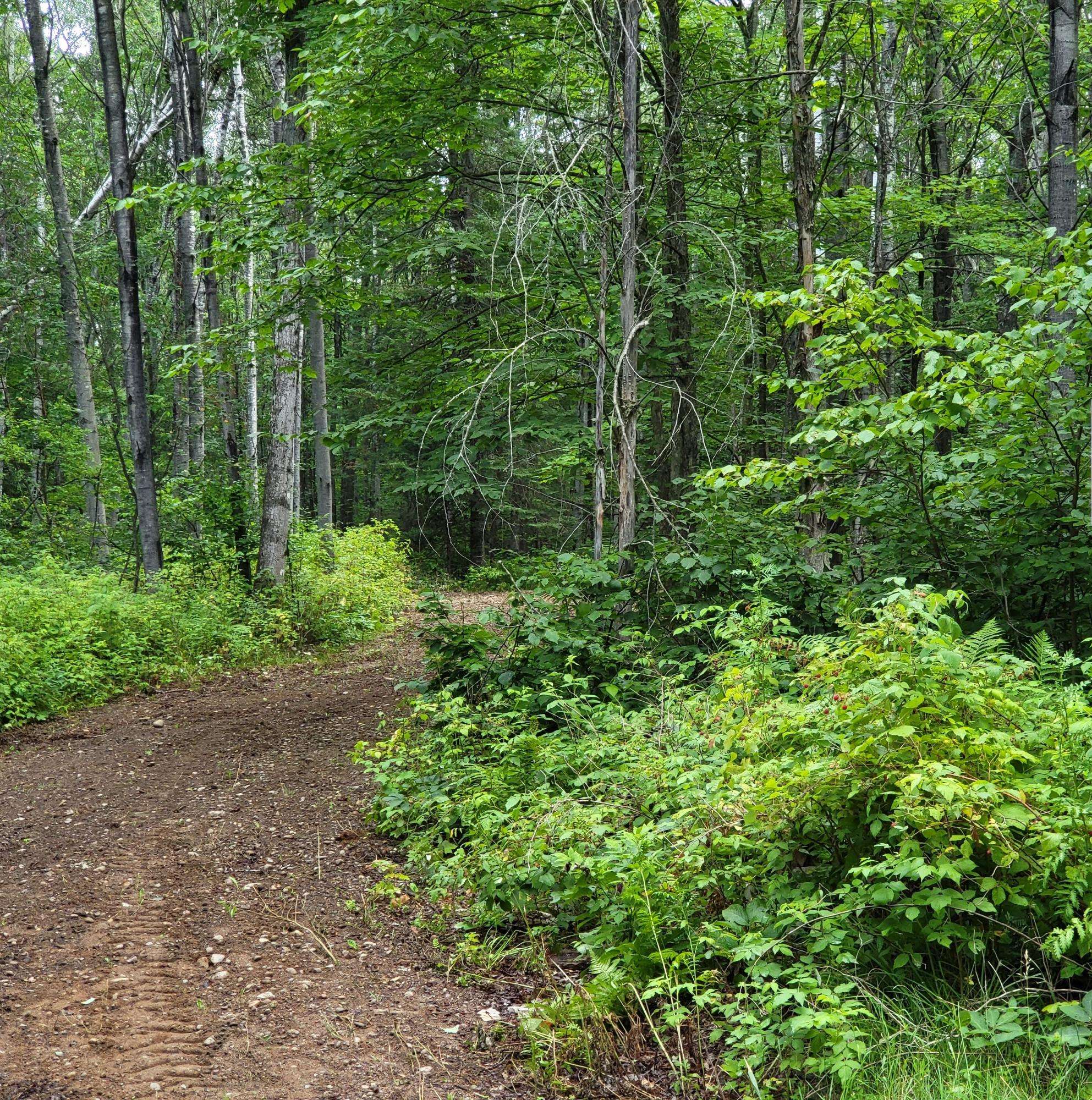 Long Lake, WI 54542,11142 DREAM LAKE RD #Lot 3