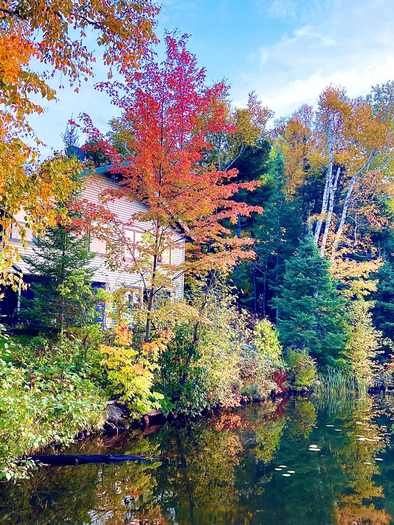Park Falls, WI 54552,W9694 HWY 70