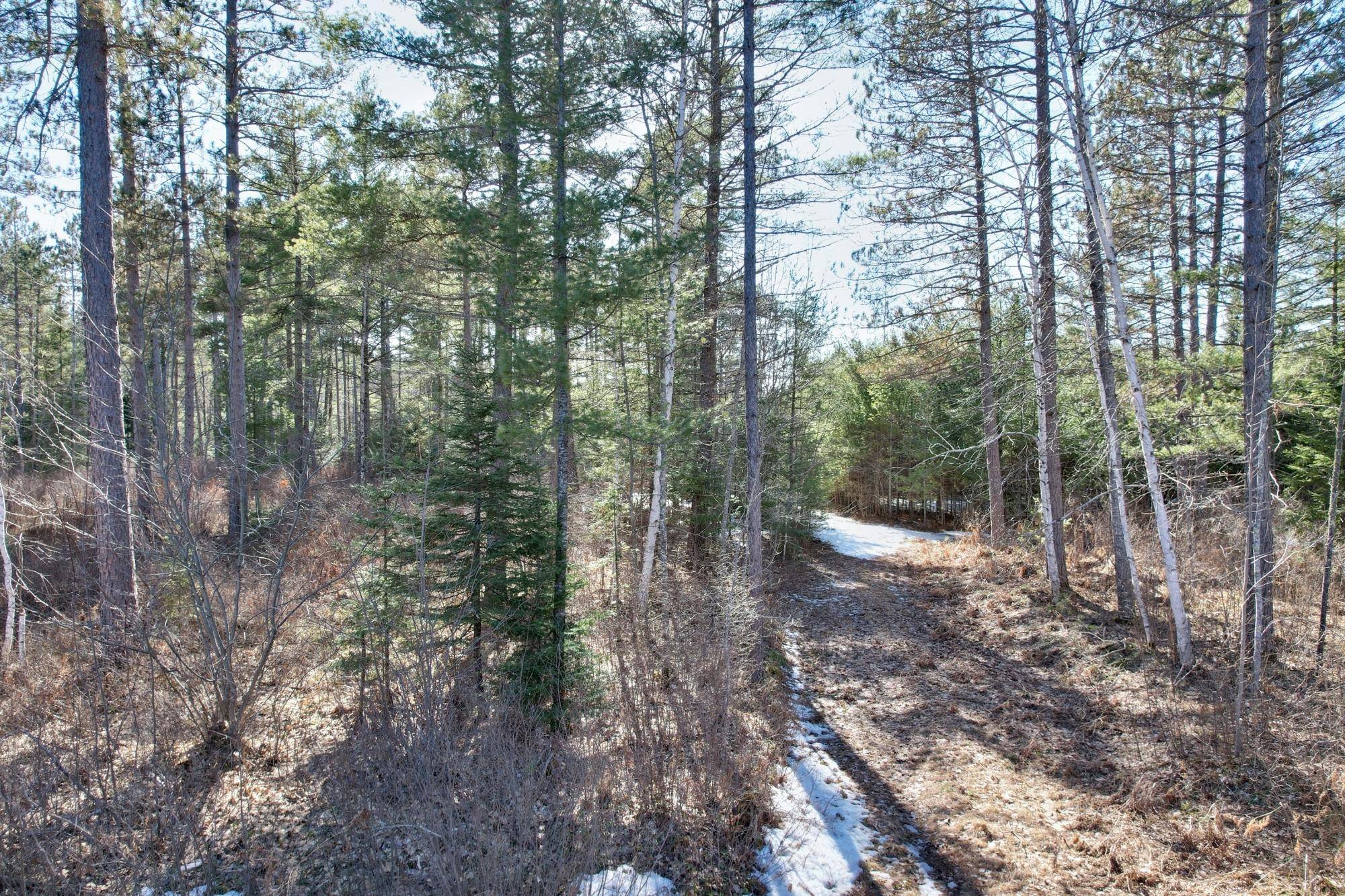 Land O' Lakes, WI 54540,Off SPIRIT WOOD TR