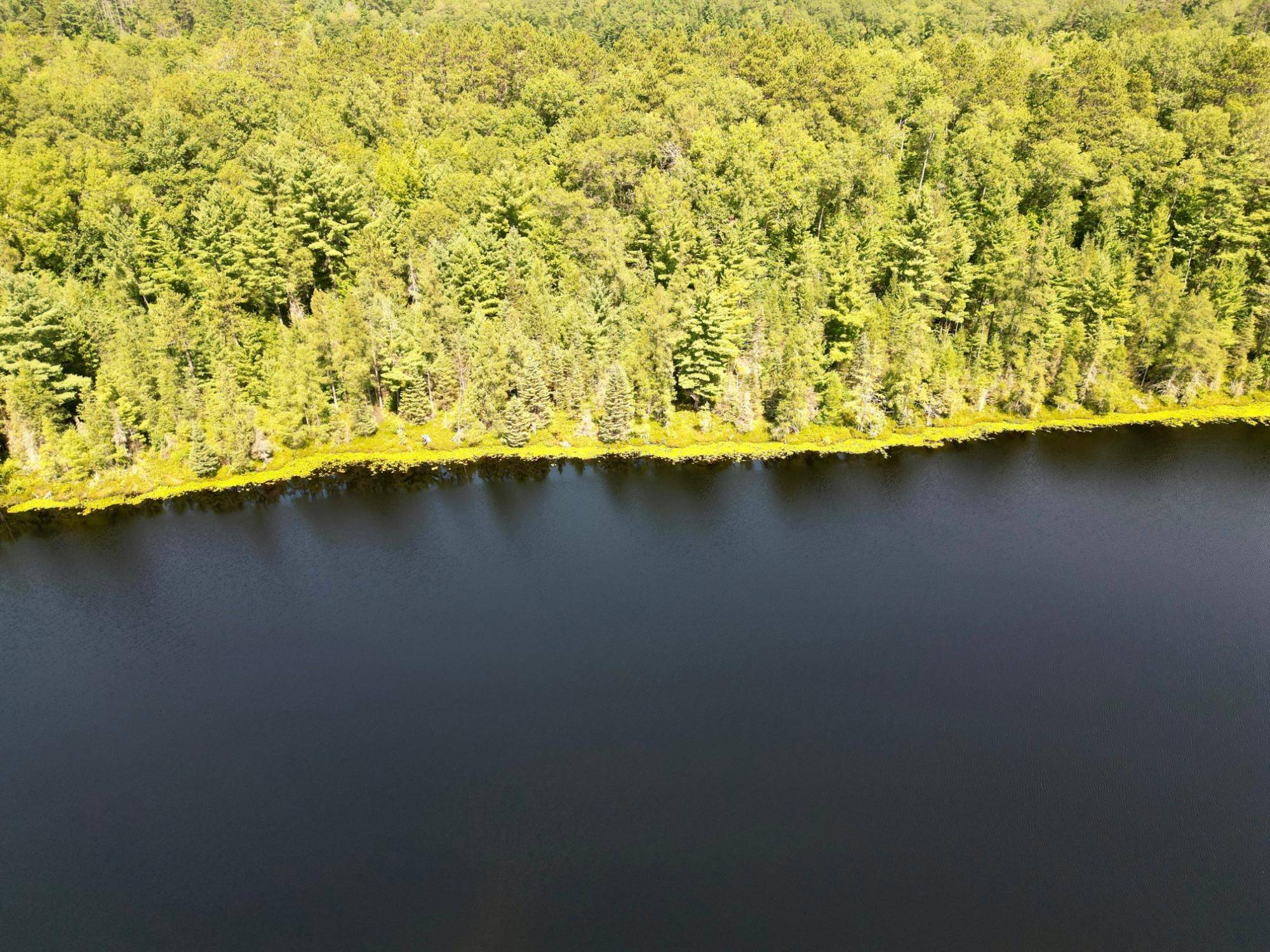 Minocqua, WI 54548,ON DAVID LAKE LN