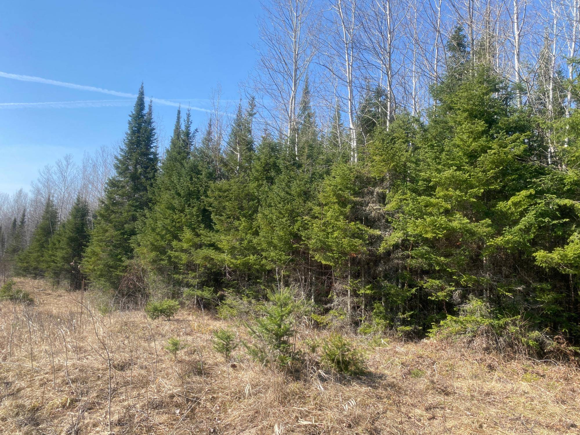 Park Falls, WI 54552,ON CTH F