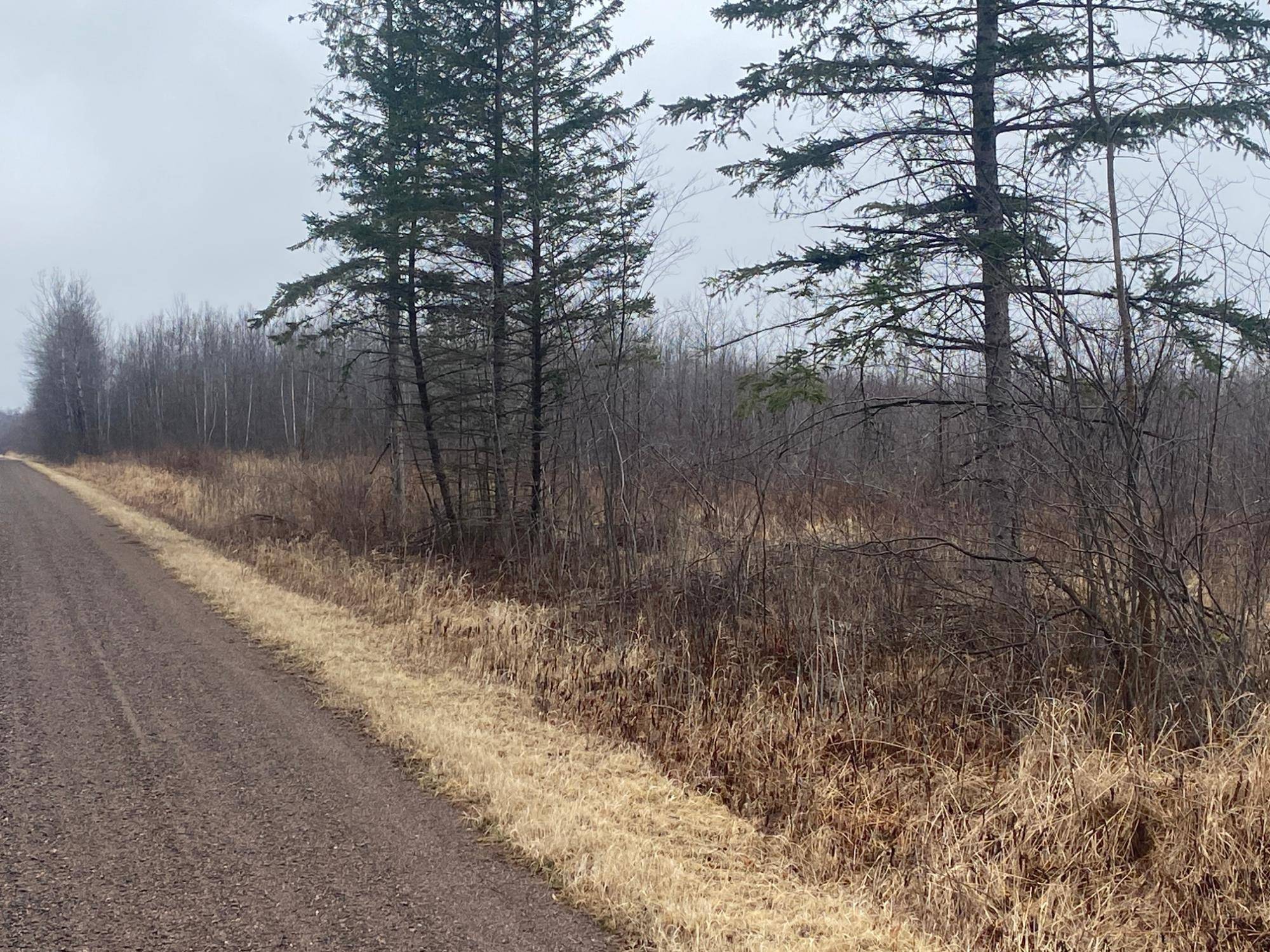 Ogema, WI 54459,ON SHAUGER RD
